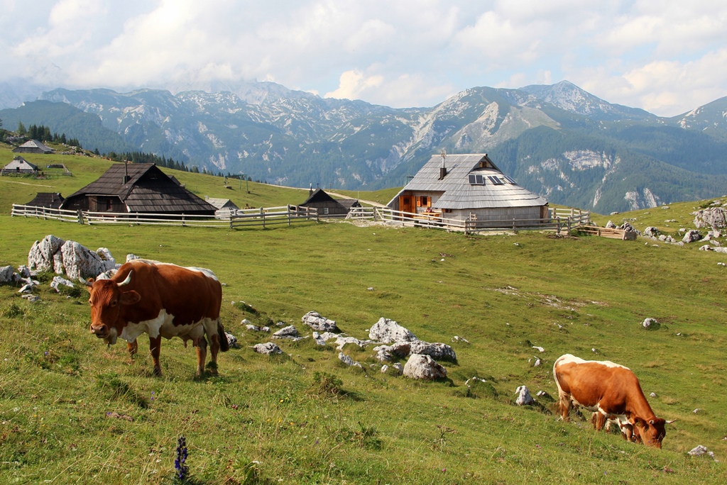 Velika_planina_foto_Manca_Cujez Velika_planina_foto_Manca_Cujez