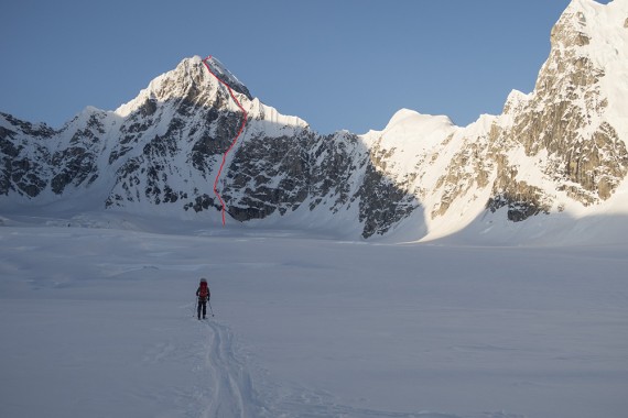 Vris Z ozebnika v Kahiltni Queen