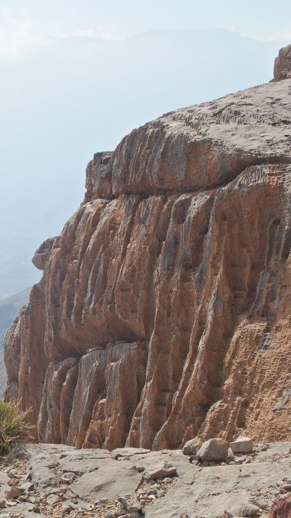 Od tu ime Organ pipes.