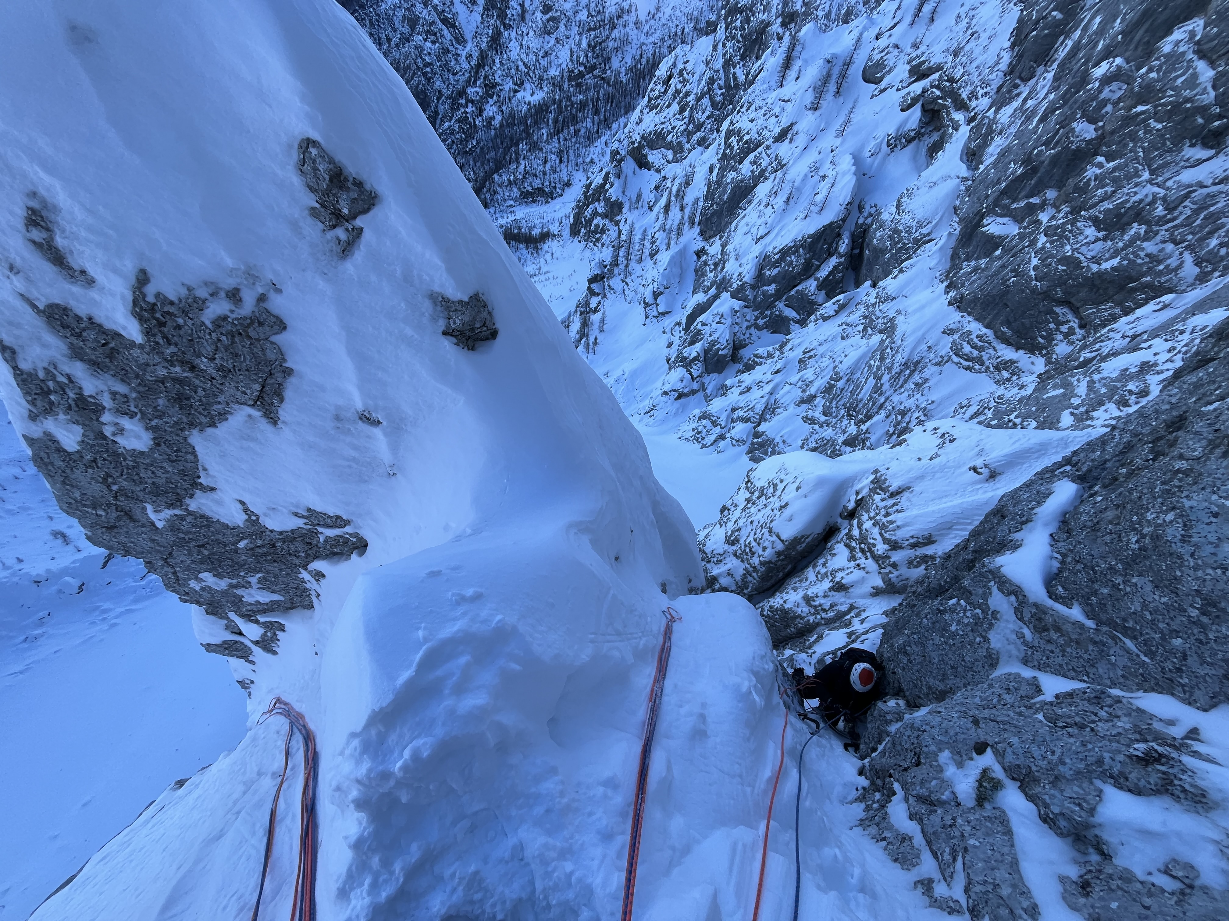 IMG_1674__1_ IMG_1674__1_