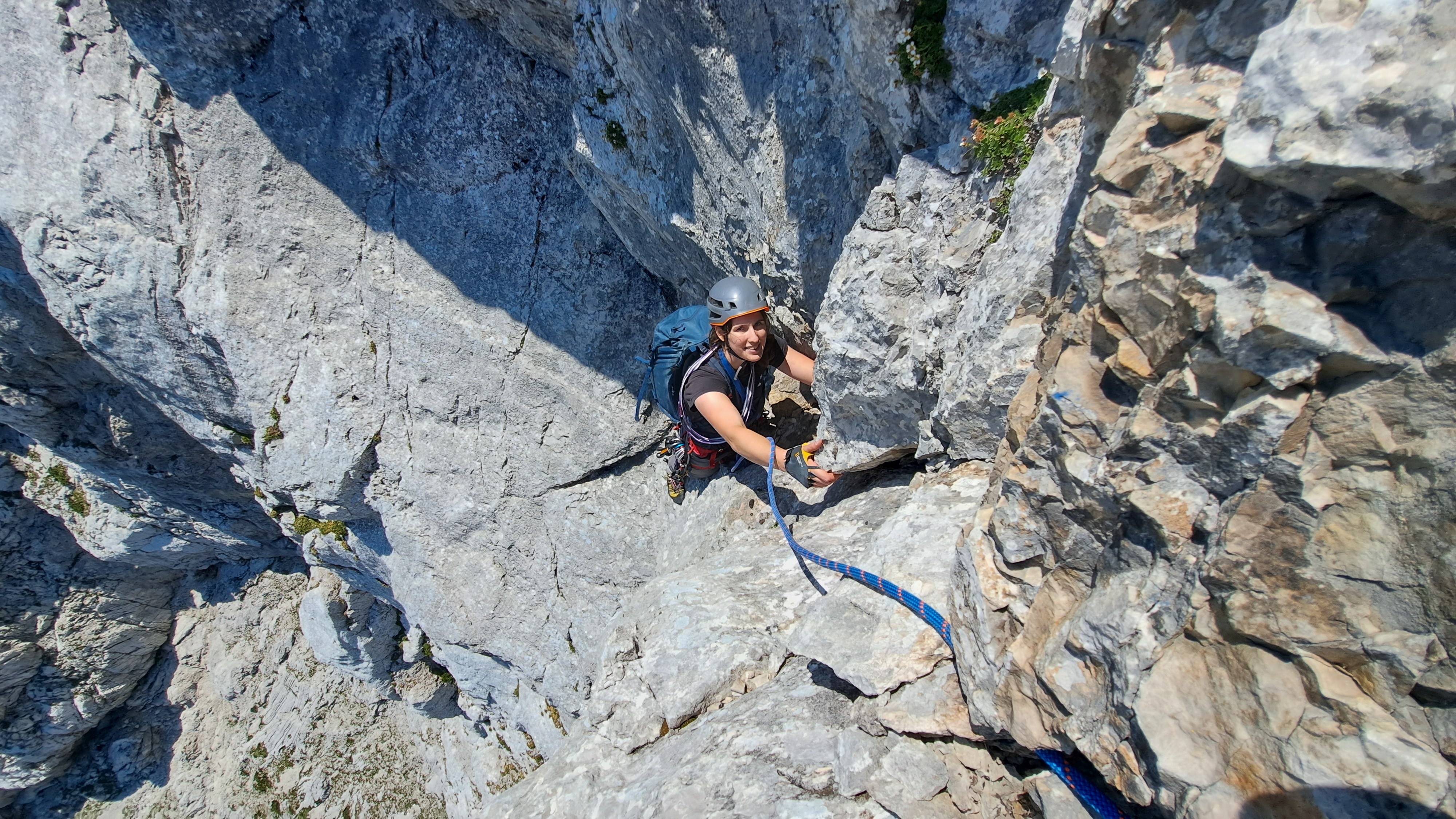 1000008553_1_ 1000008553_1_