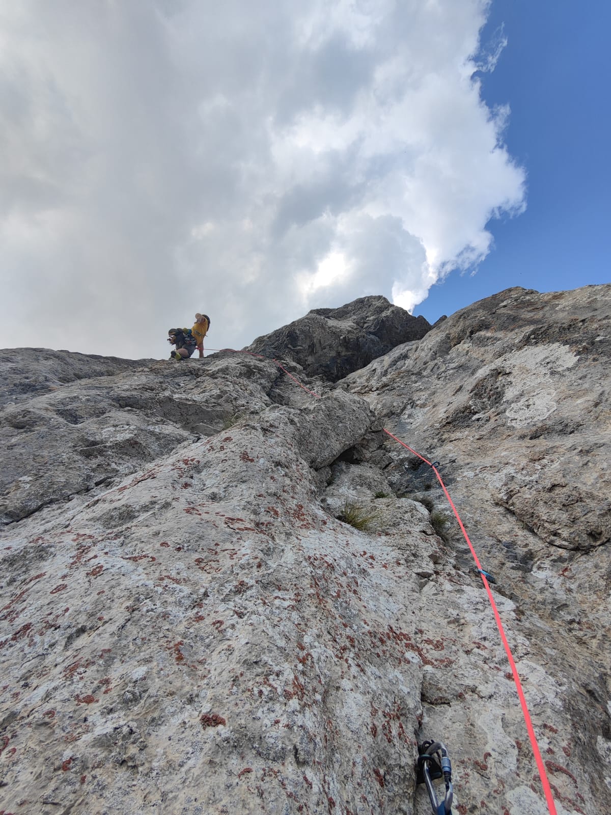 IMG_20250619_WA0018 IMG_20250619_WA0018