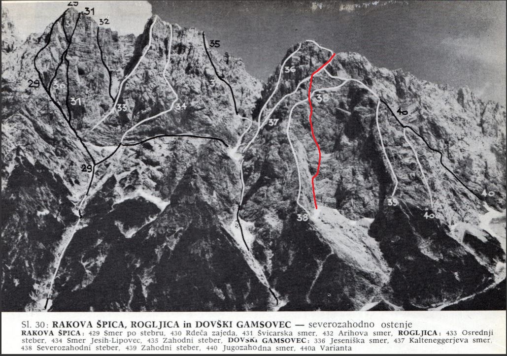 Rakova__pica_Rogljica_Dov__kiGamsovec_Za_vsakim_dezjem_posije_sonce_rdeca