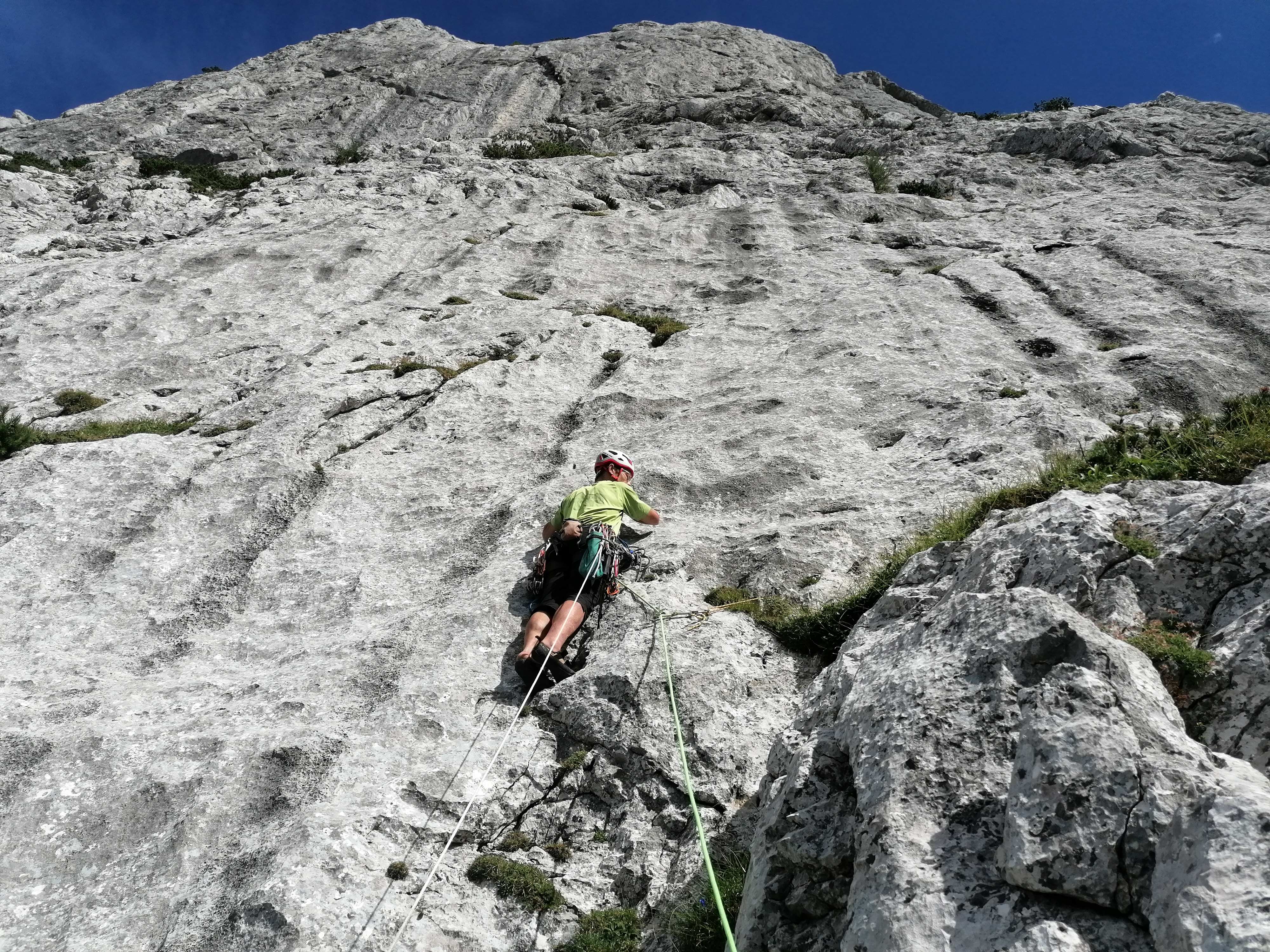 IMG_20240808_1617232_2 IMG_20240808_1617232_2