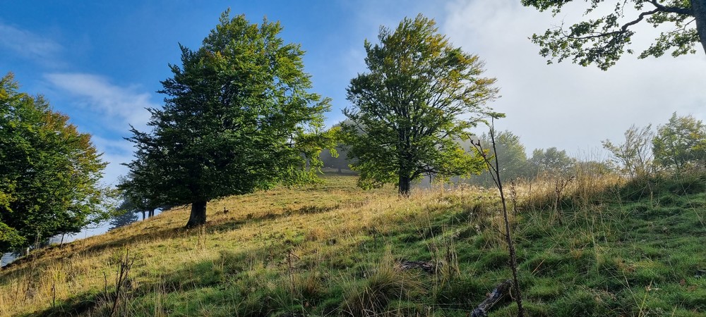 juliana_bike_foto_atila_armentano__2_ juliana_bike_foto_atila_armentano__2_