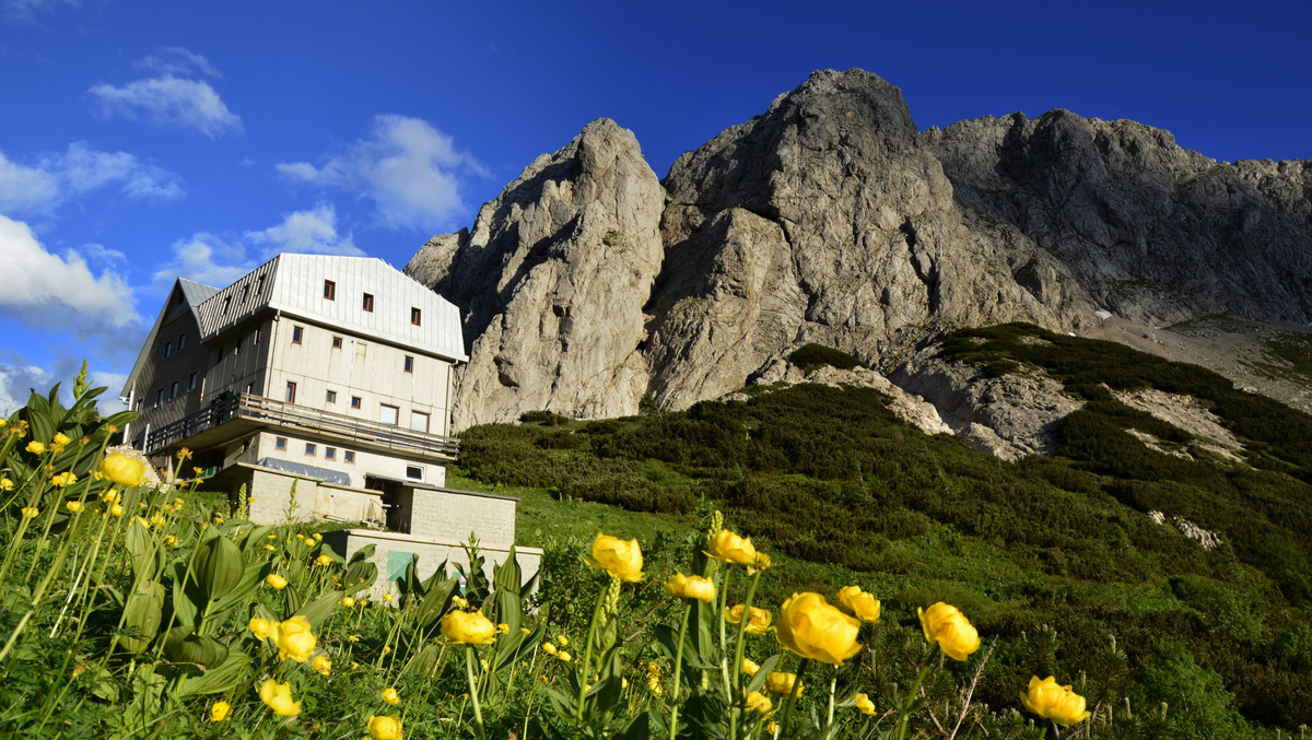 cojzova_koca_na_kokrskem_sedlu_foto_tomaz_bolcar cojzova_koca_na_kokrskem_sedlu_foto_tomaz_bolcar