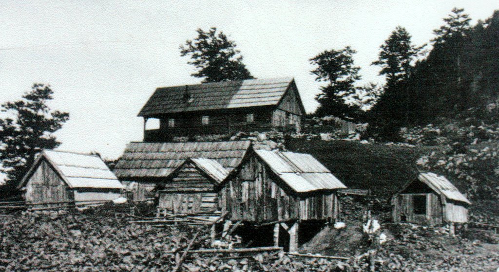 oroznova_koca_prvotna_foto_joza_mihelic oroznova_koca_prvotna_foto_joza_mihelic