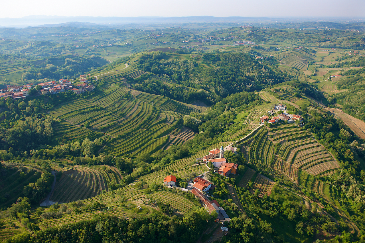AAT_OK_F002131_6_goriska_brda_orig_jpg_photo_m AAT_OK_F002131_6_goriska_brda_orig_jpg_photo_m