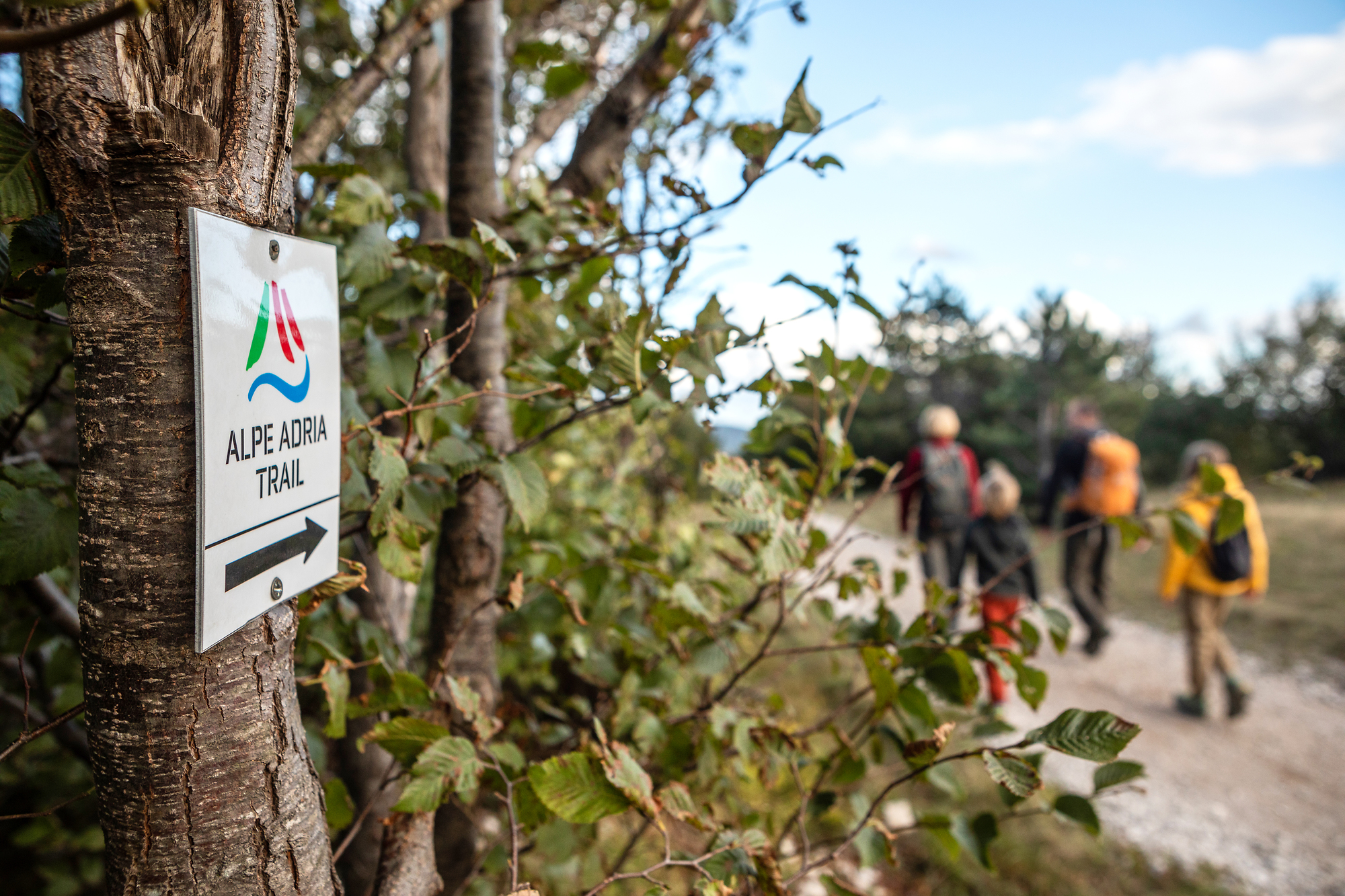 AAT_OK_F014841_kokos_kras_alpe_adria_trail_jost_gantar_1_photo_m