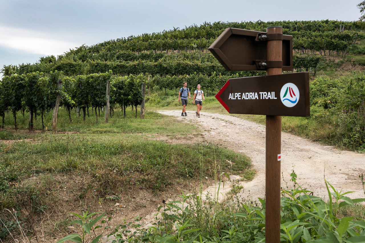 AAT_OK_F014931_alpe_adria_goriska_brda_jost_gantar_2_photo_m AAT_OK_F014931_alpe_adria_goriska_brda_jost_gantar_2_photo_m