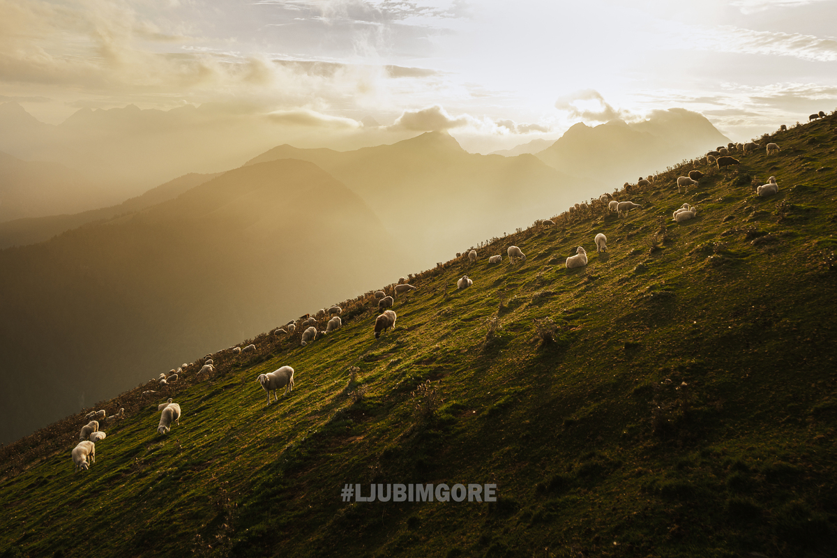 1-mesto-Mirko-Potocnik_1 1-mesto-Mirko-Potocnik_1