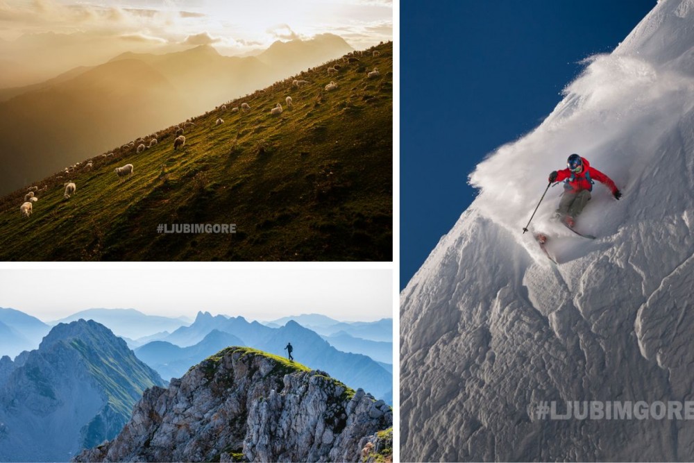 ljubim_gore_2023 ljubim_gore_2023