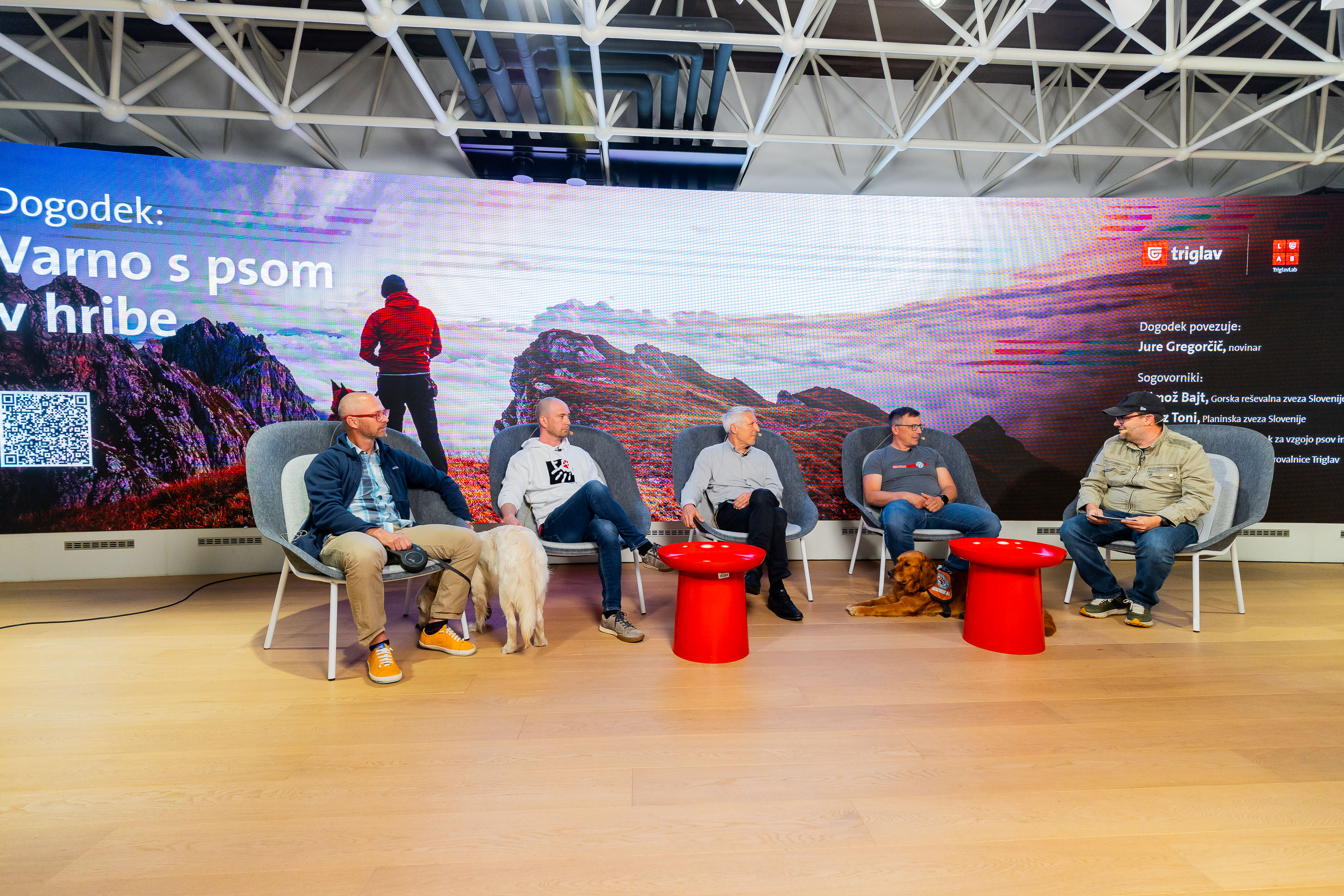 Varno_s_psom_v_hribe_11 Varno_s_psom_v_hribe_11