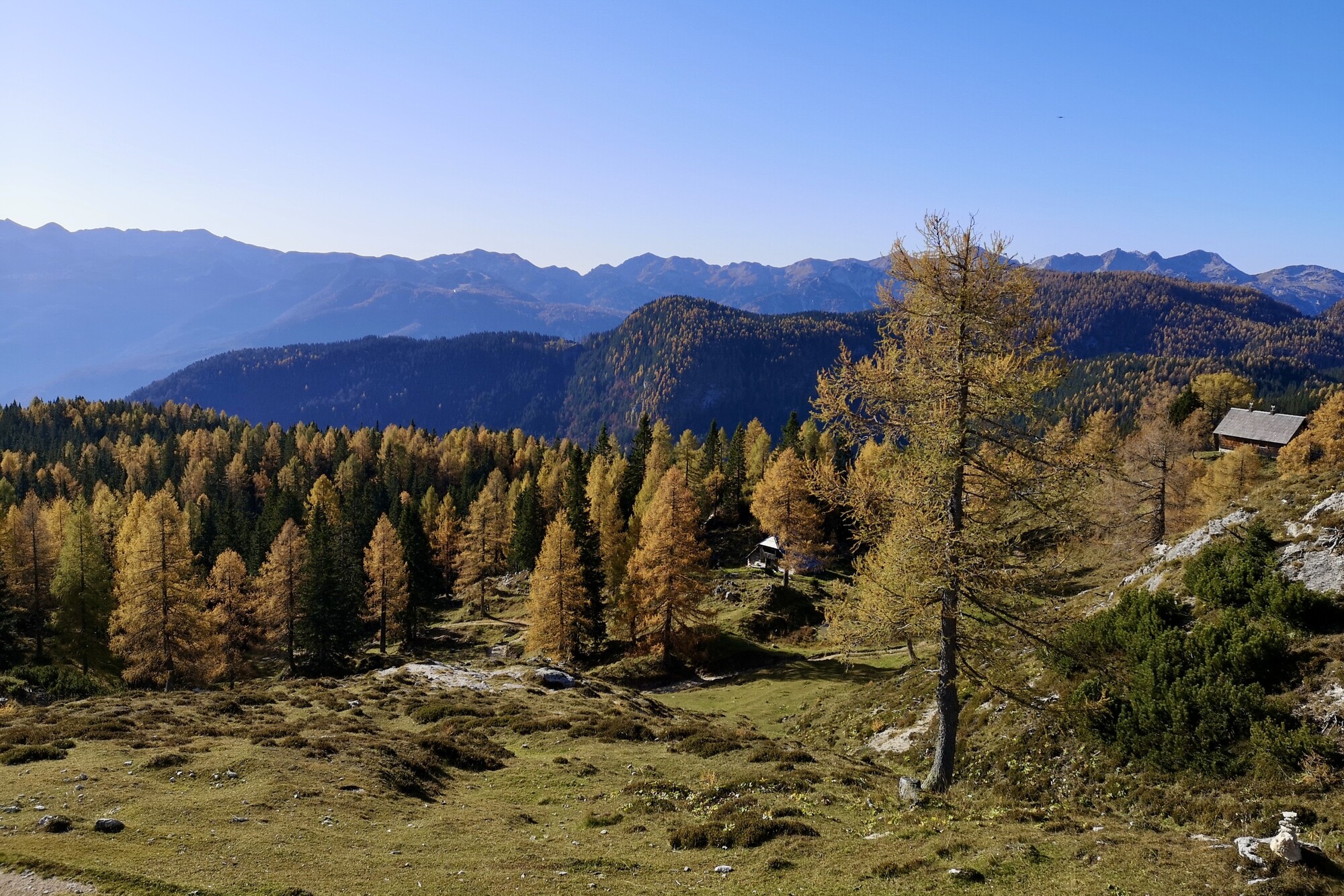 gore_jeseni_foto_manca_ogrin gore_jeseni_foto_manca_ogrin