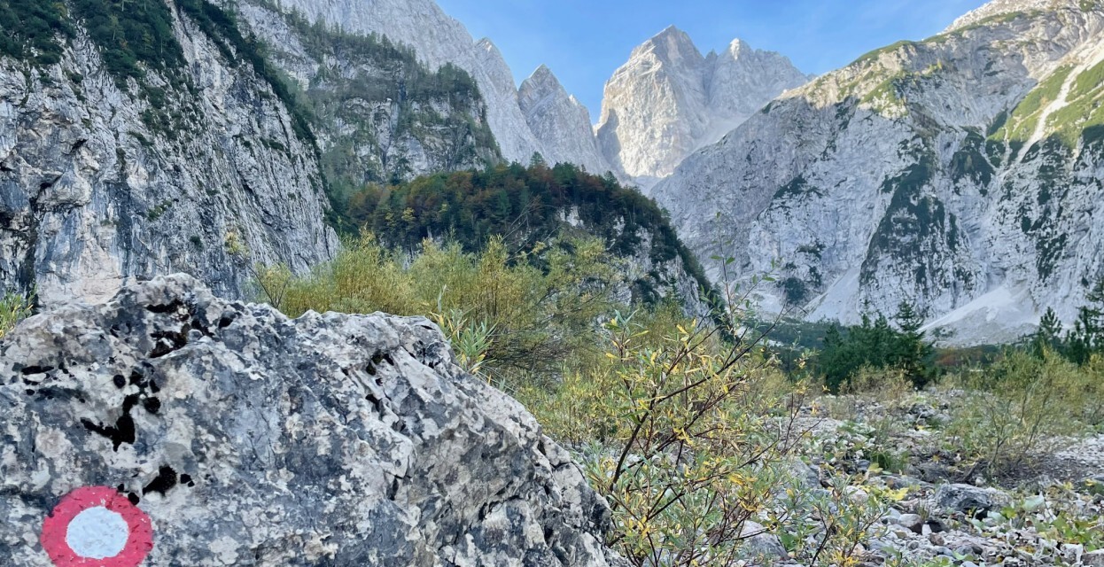 naj_planinska_pot_2024_1246x640 naj_planinska_pot_2024_1246x640