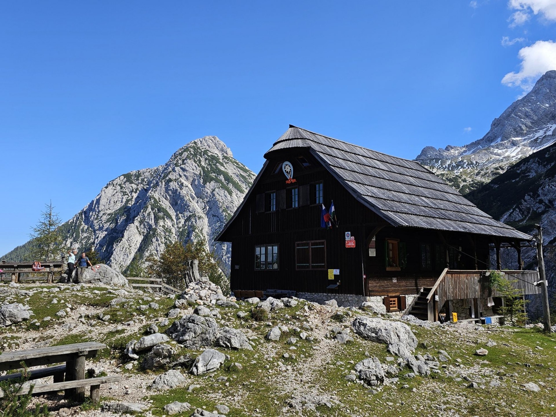 ceska_koca_foto_manca_ogrin