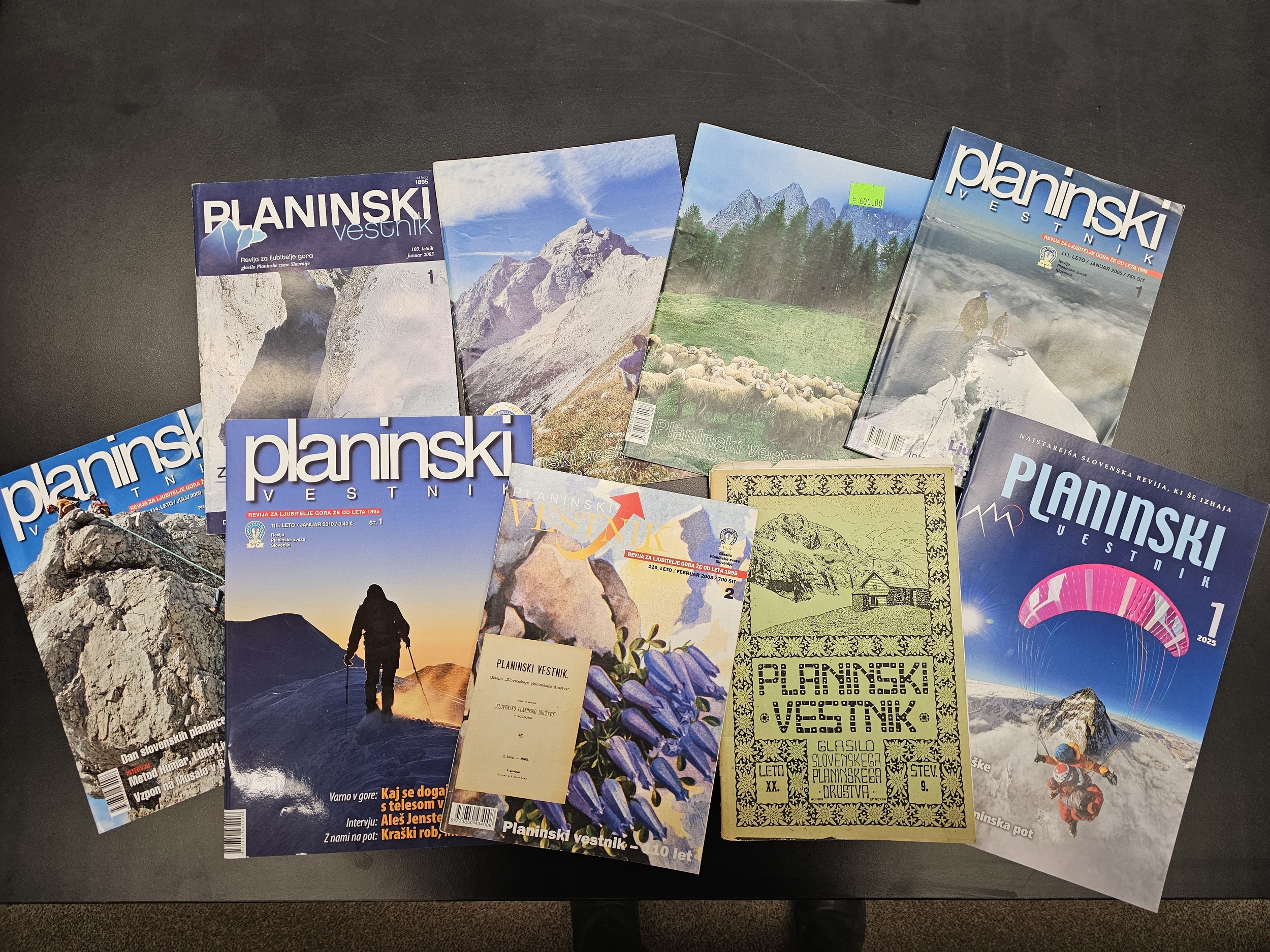 mojstranske_veverice_planinski_vestnik_spm_foto_manca_ogrin__2_