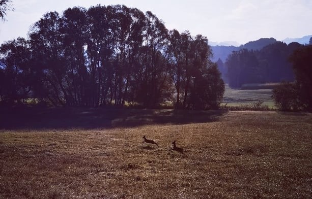 Donacka_gora_inkluzijski_pohod_Pin_3 Donacka_gora_inkluzijski_pohod_Pin_3