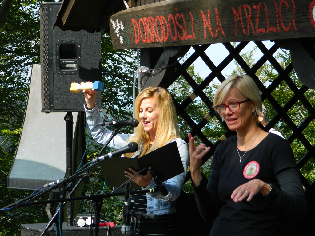 pin_pzs_Mrzlica_zakljucek_GSPK_2019__9_ pin_pzs_Mrzlica_zakljucek_GSPK_2019__9_