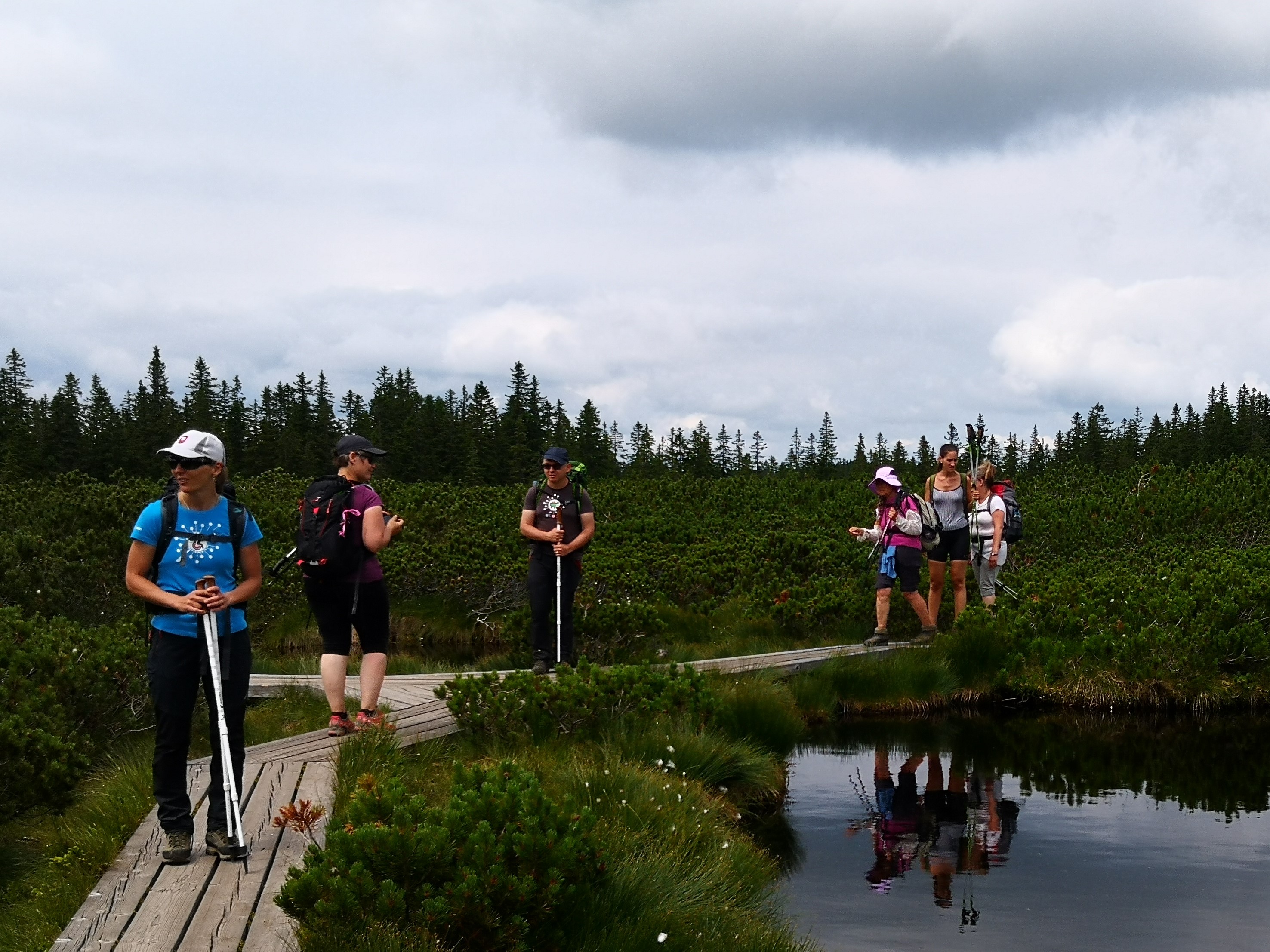 Pohorje__15_ Pohorje__15_