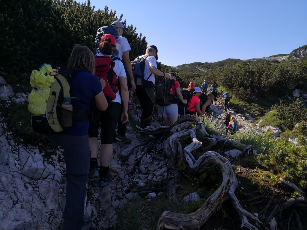 Rodica_slepi_in_slabovidni_Pin_OPP_PZS__14_