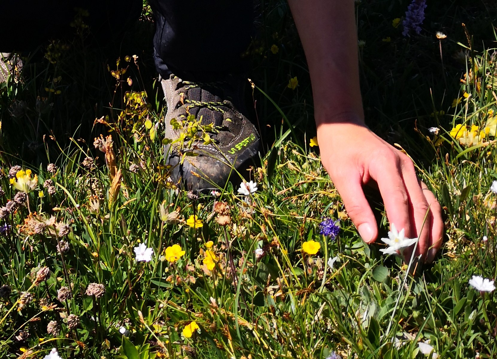 Rodica_slepi_in_slabovidni_Pin_OPP_PZS__17_