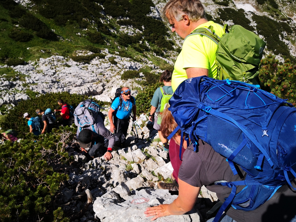 Rodica_slepi_in_slabovidni_Pin_OPP_PZS__1_