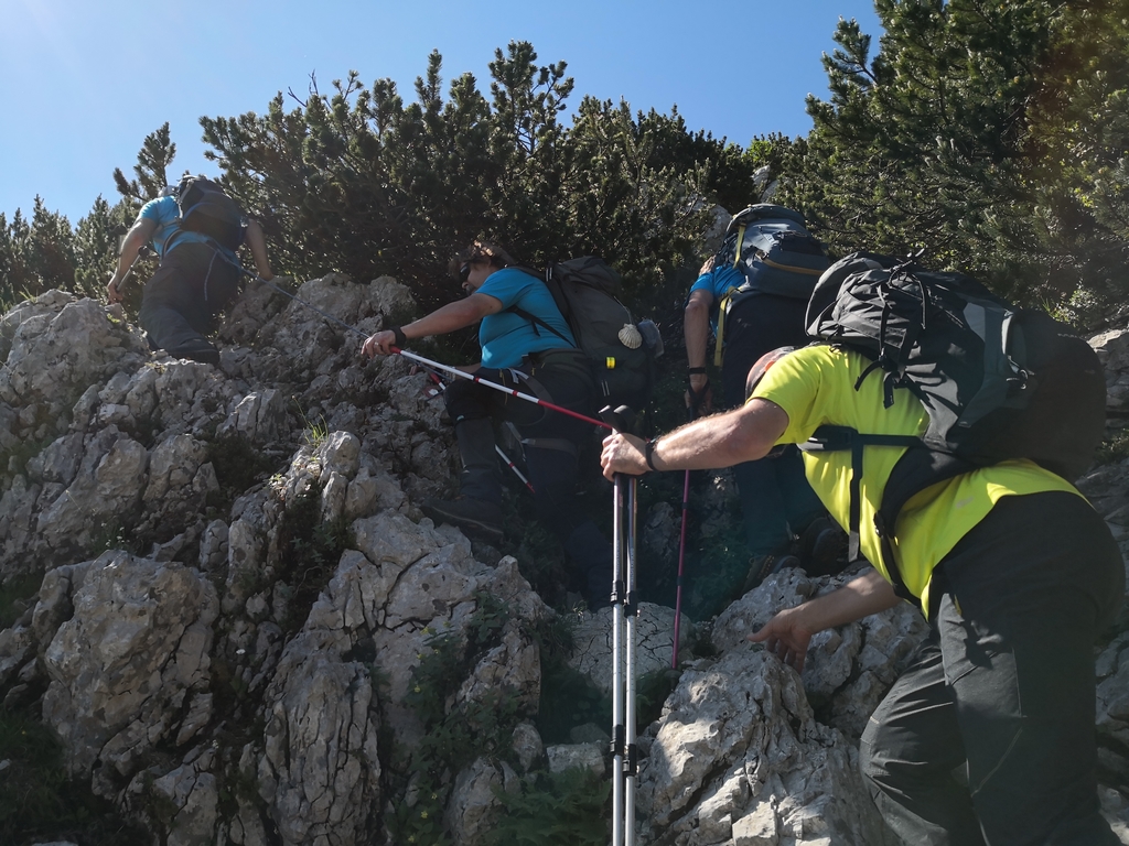 Rodica_slepi_in_slabovidni_Pin_OPP_PZS__2_