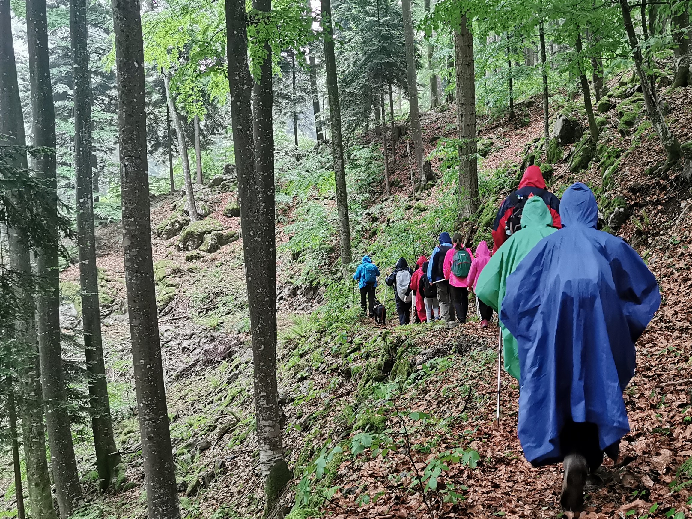 Slepi_slabovidni_na_Mirno_goro_1 Slepi_slabovidni_na_Mirno_goro_1