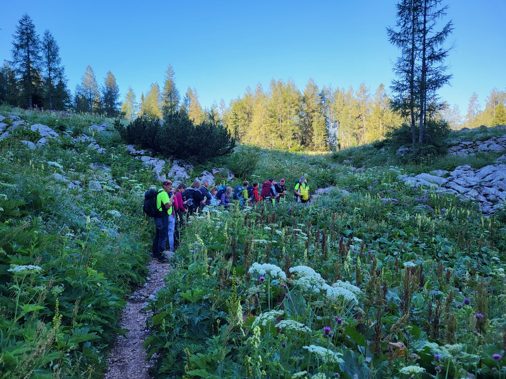 pot_med_zelenjem pot_med_zelenjem
