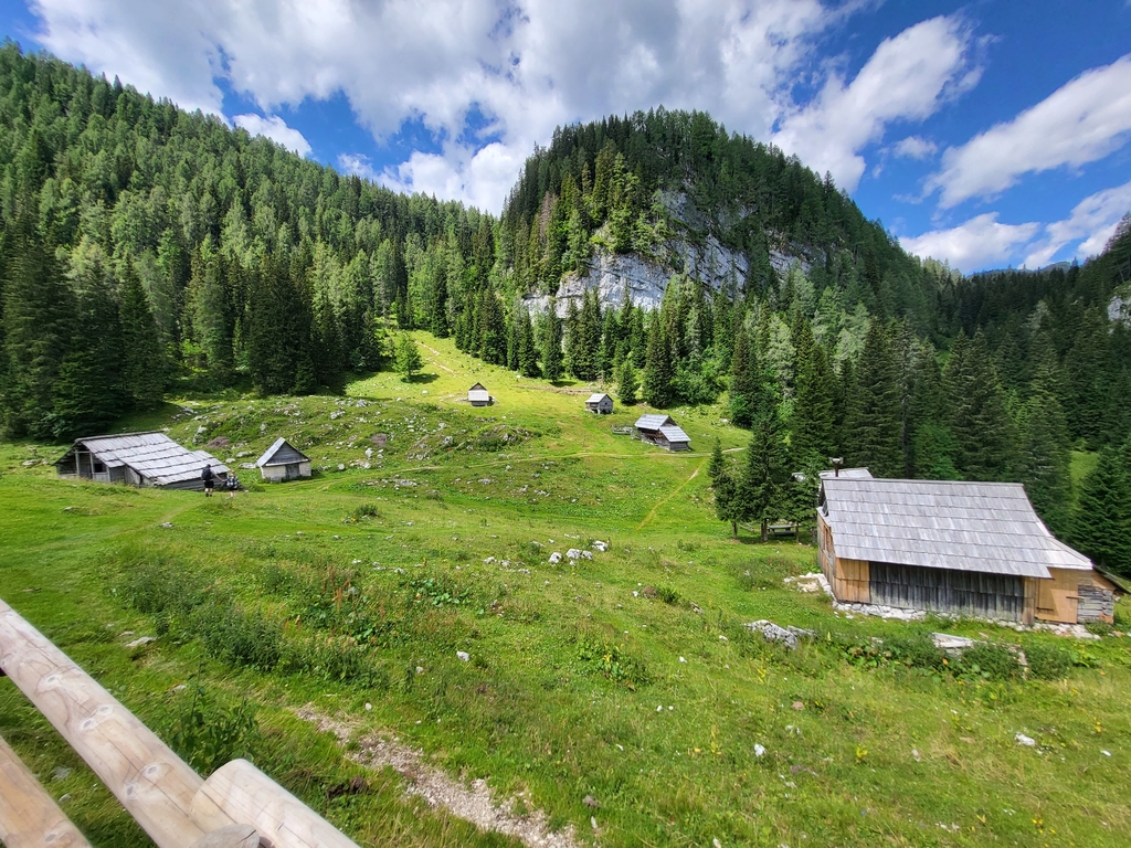travnik_in_ko_e travnik_in_ko_e