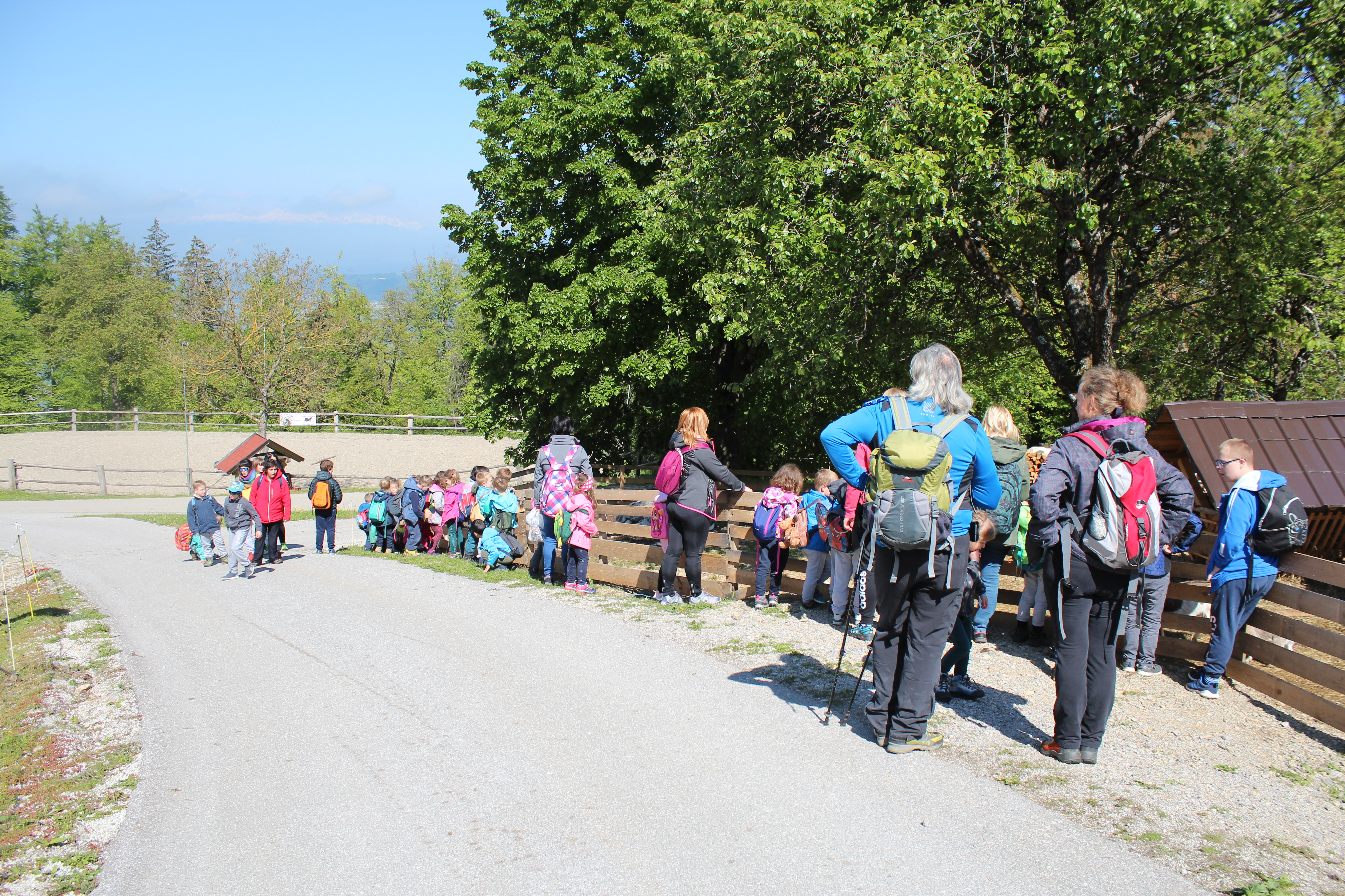 pin_pzs_inkluzijski_pouod_uste_2019_1 pin_pzs_inkluzijski_pouod_uste_2019_1