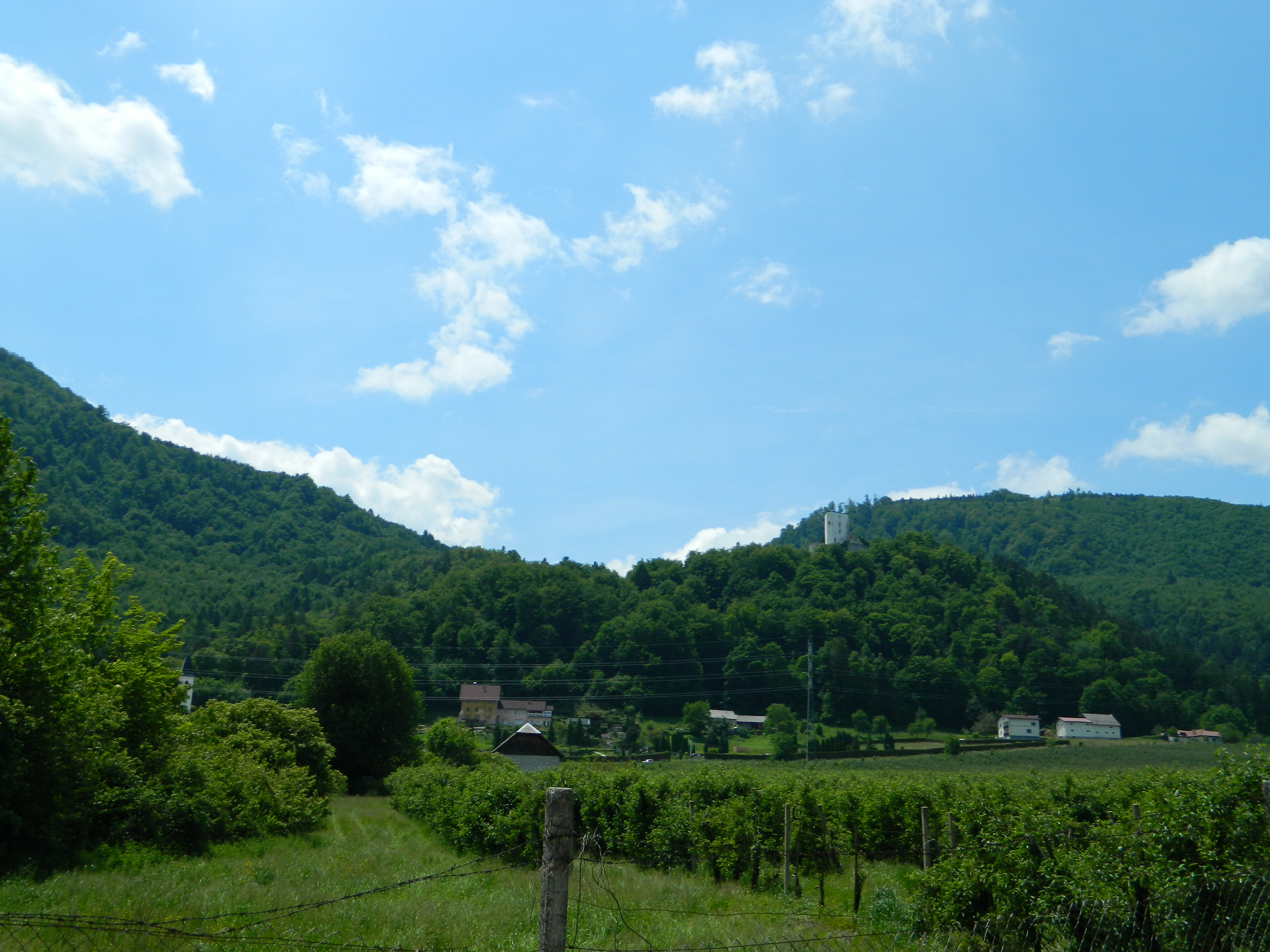 pin_pzs_pohod_na_grad_konjice5 pin_pzs_pohod_na_grad_konjice5