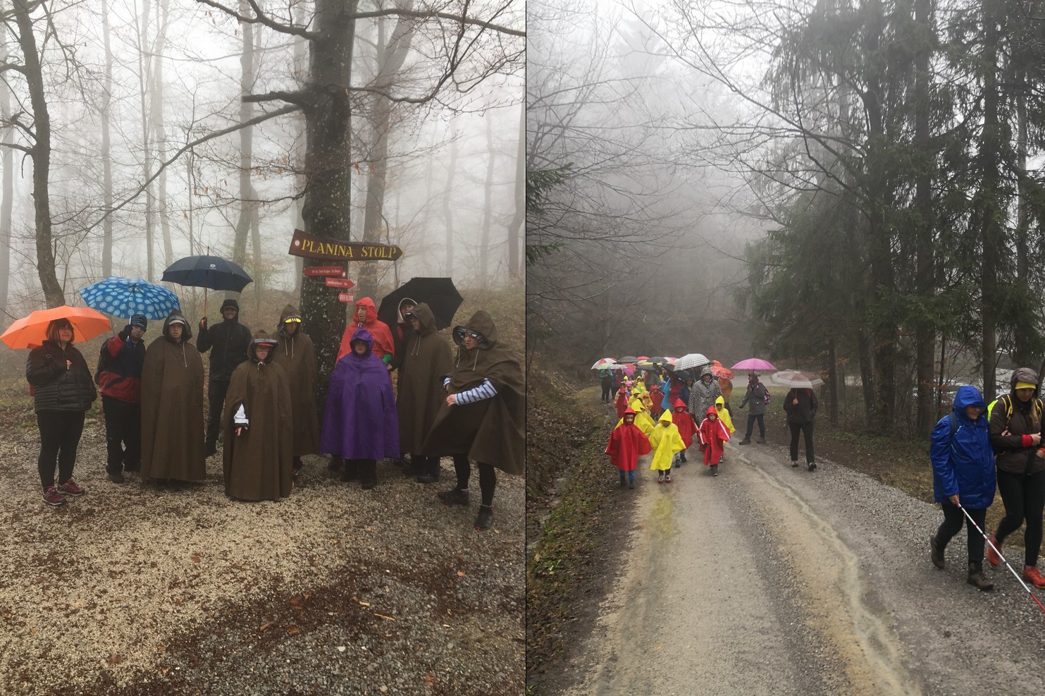 pin_pzs_pohodi_planina_nad_vrhniko_2019_arhiv_pin pin_pzs_pohodi_planina_nad_vrhniko_2019_arhiv_pin