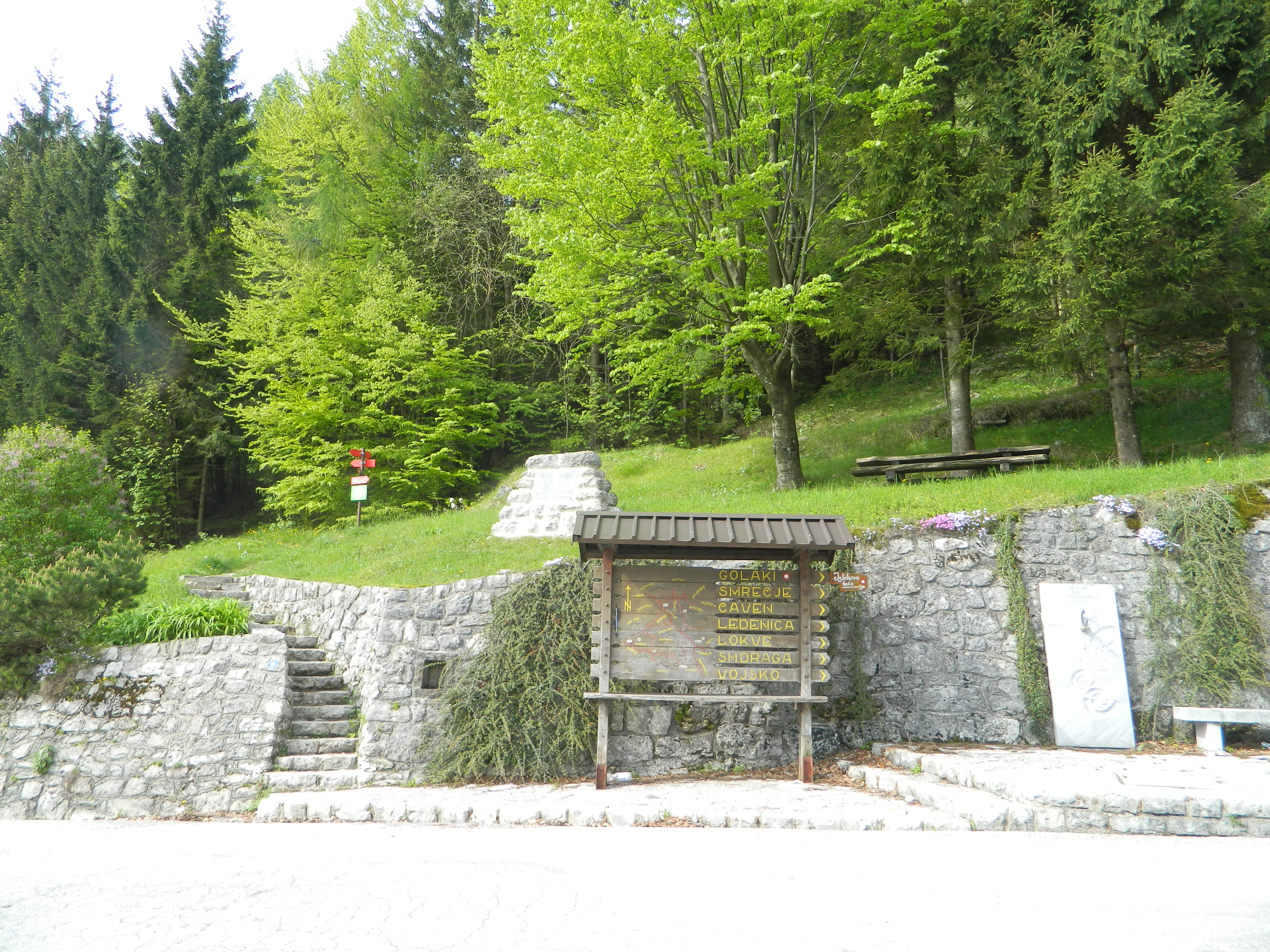 pzs_pin__aven_1 pzs_pin__aven_1