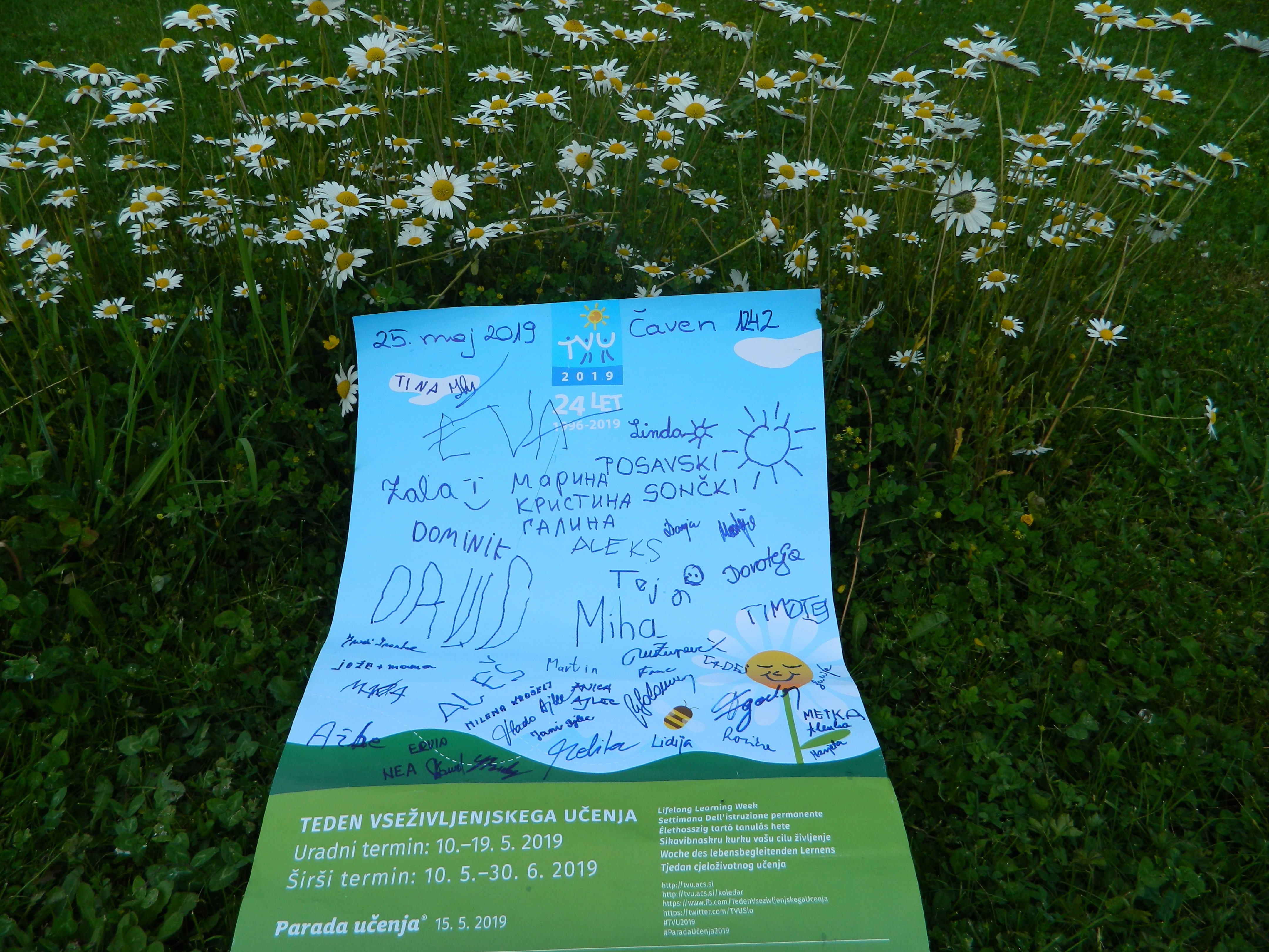 pzs_pin__aven_11 pzs_pin__aven_11