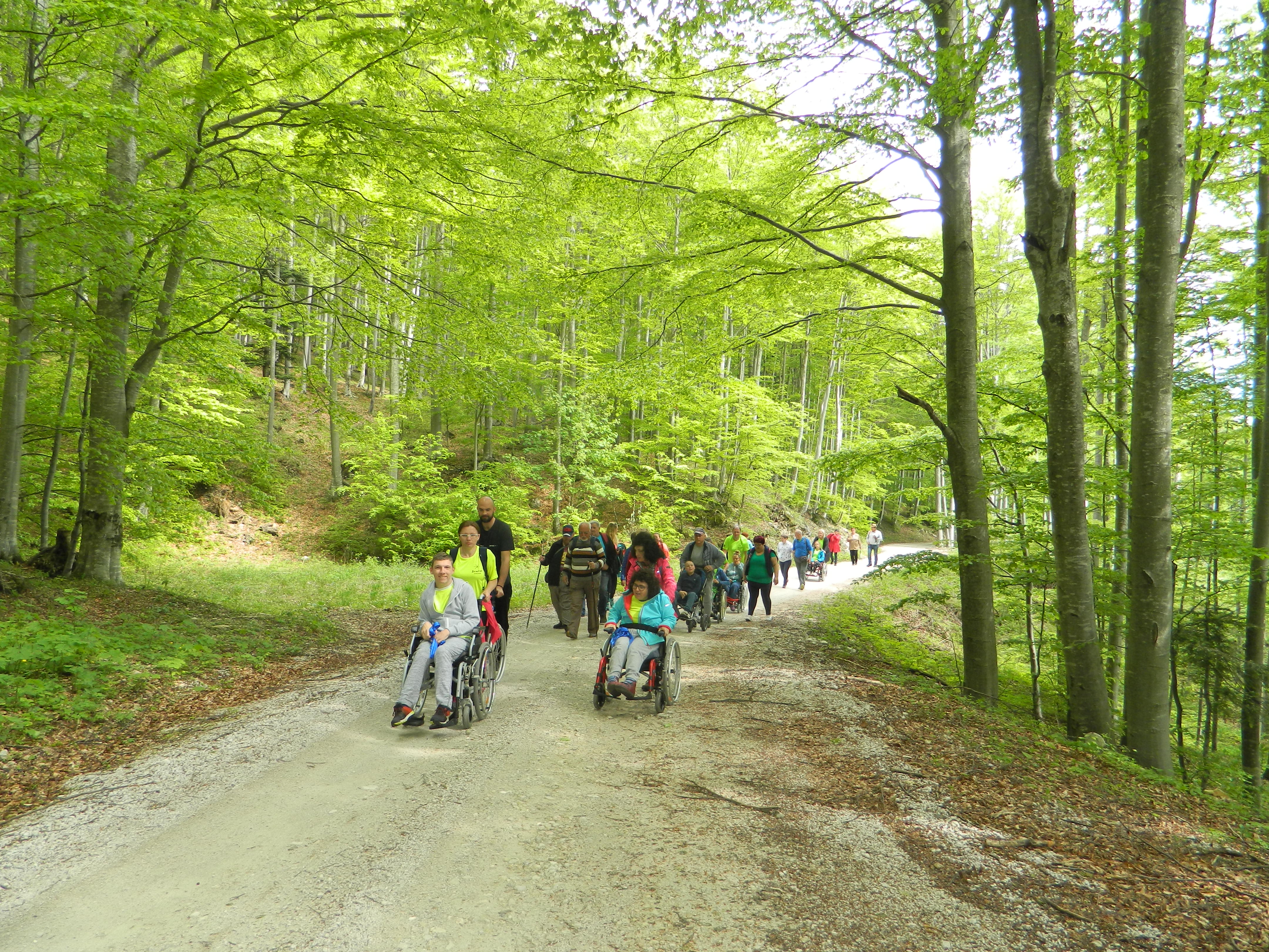 pzs_pin__aven_2 pzs_pin__aven_2