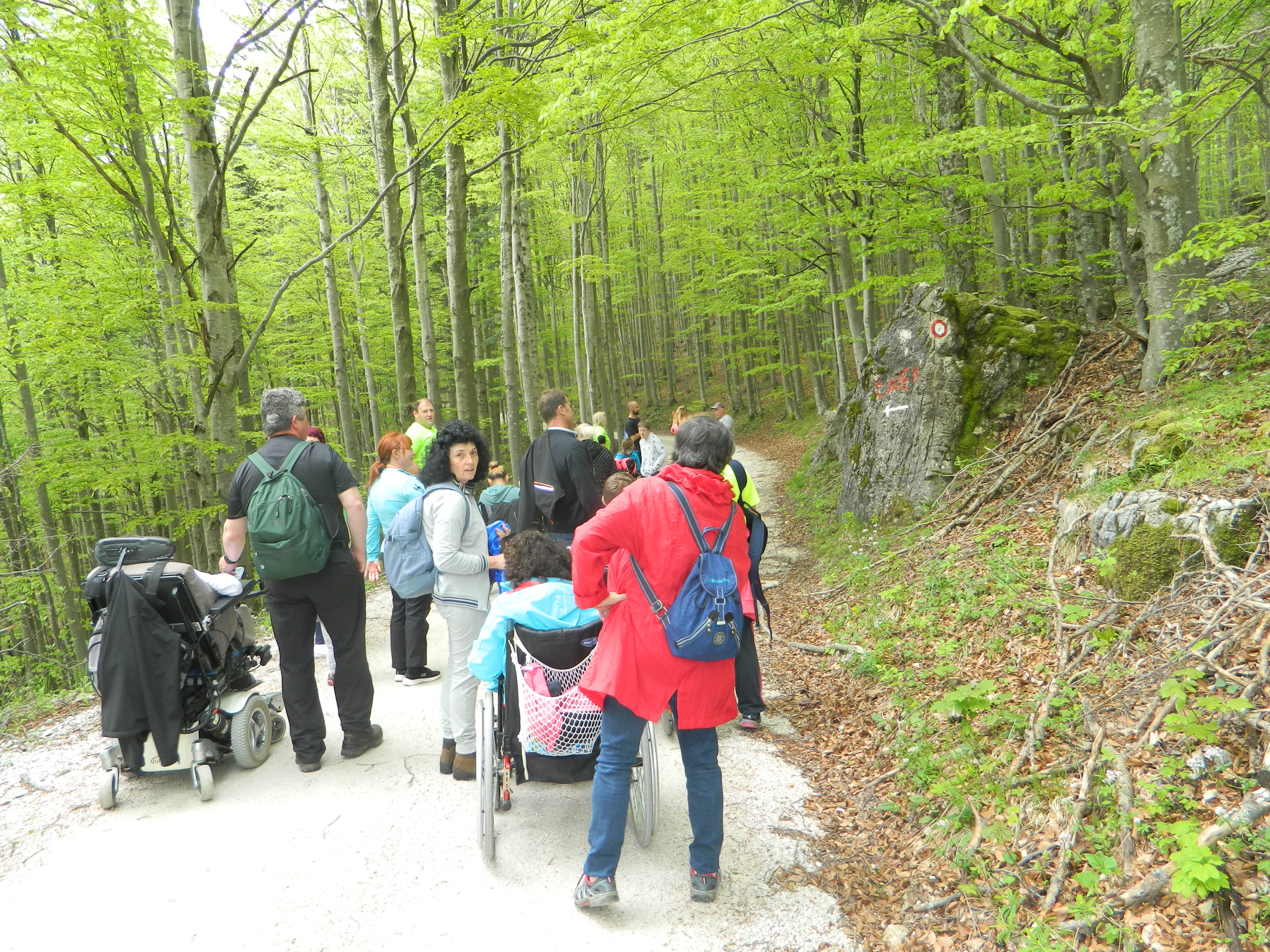 pzs_pin__aven_3 pzs_pin__aven_3