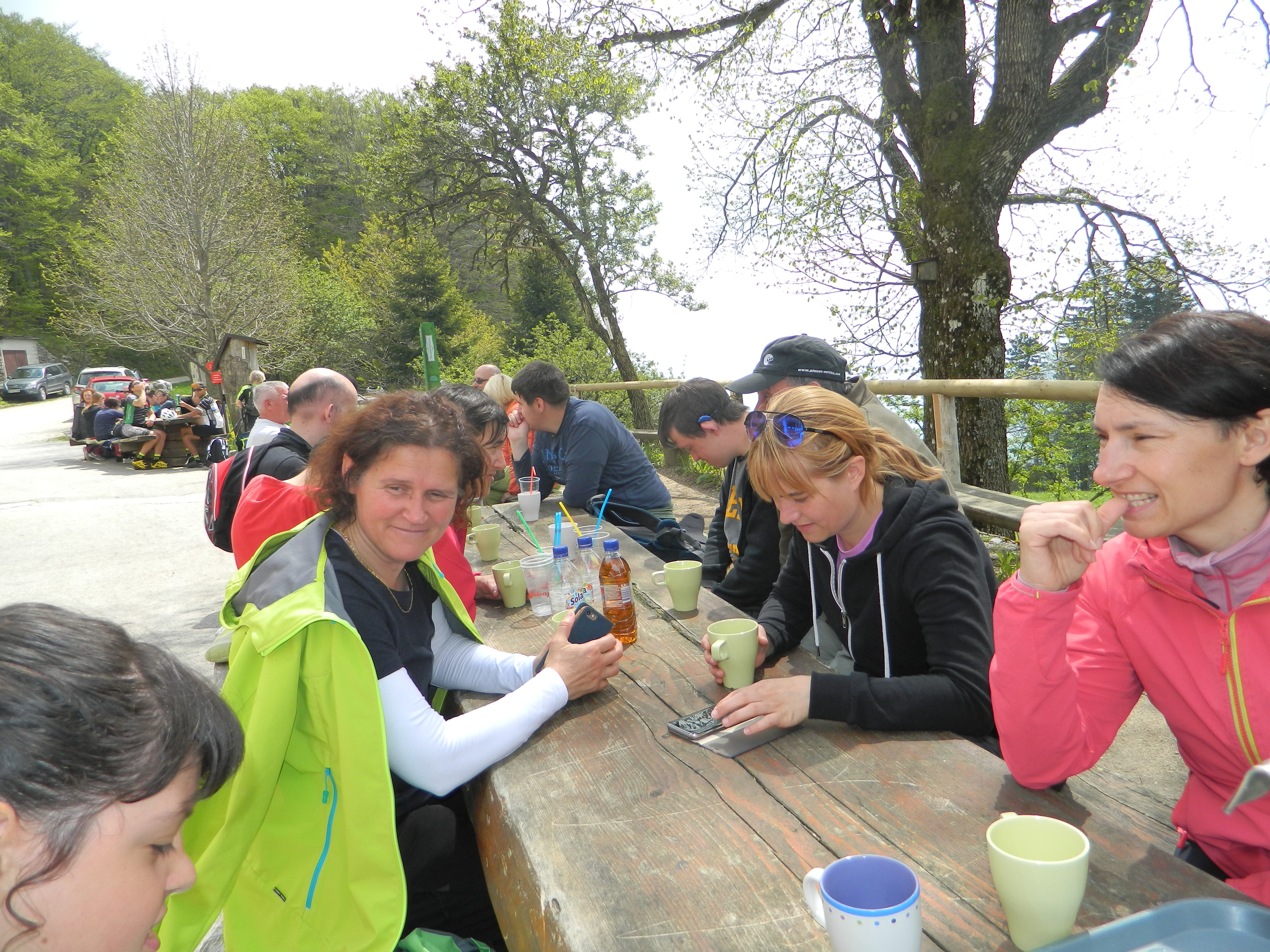 pzs_pin__aven_4 pzs_pin__aven_4