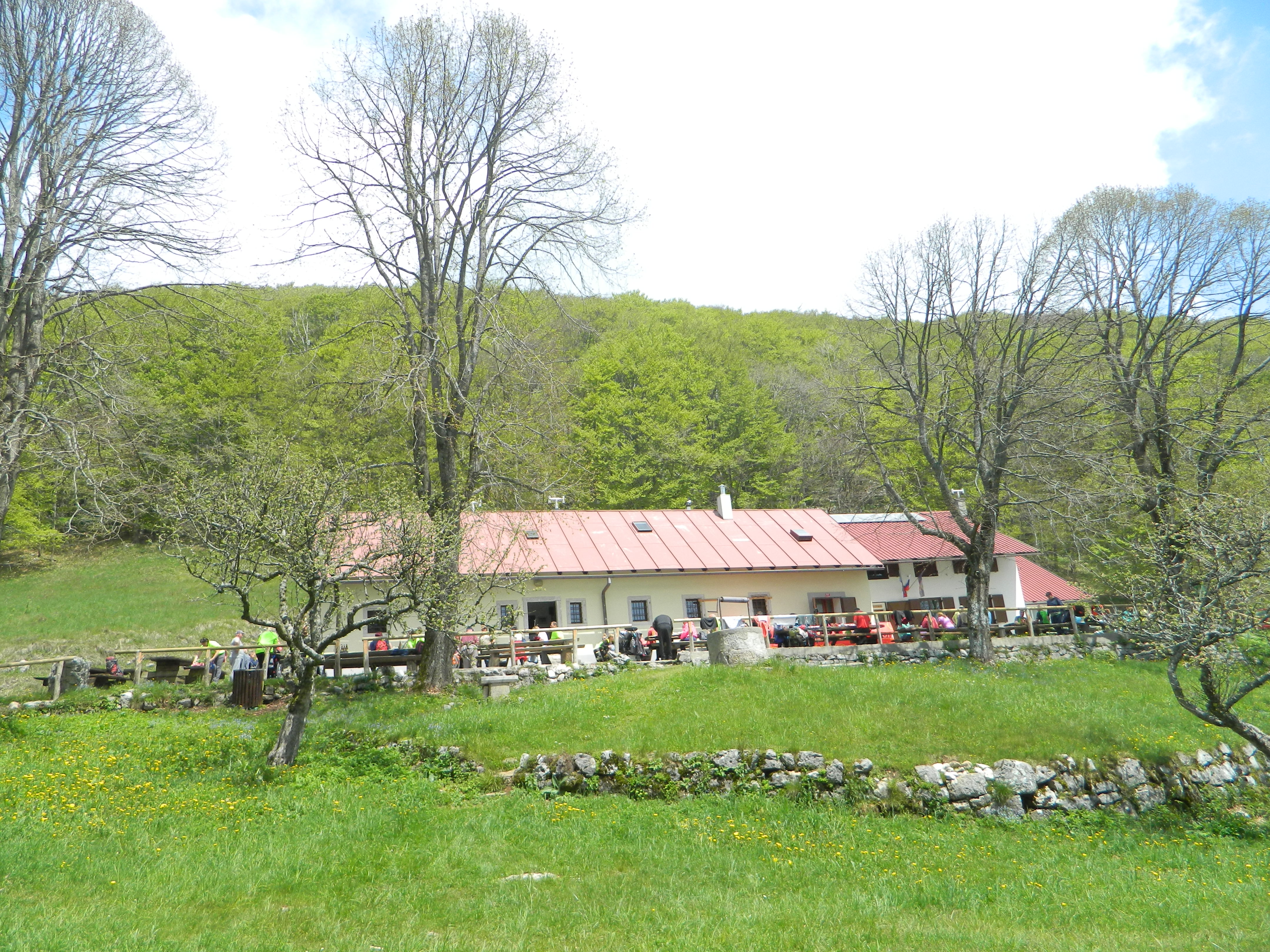 pzs_pin__aven_6 pzs_pin__aven_6