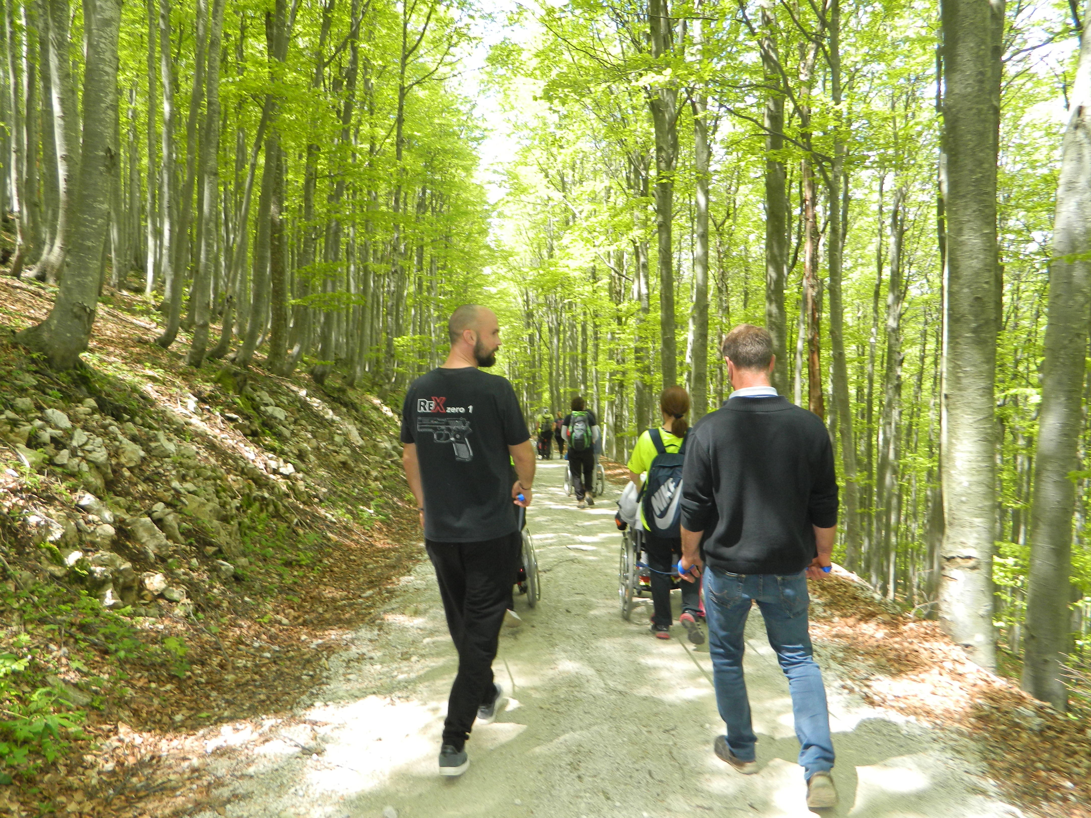 pzs_pin__aven_7 pzs_pin__aven_7