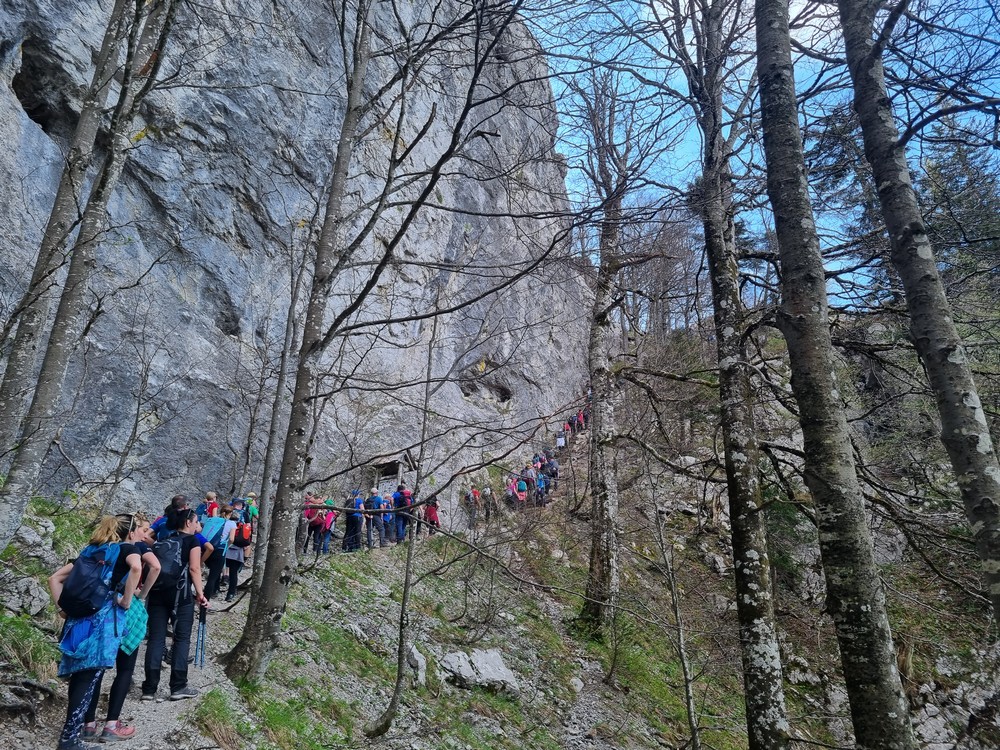 pzs_srecanje_pzs_hps_2024_arhiv_hps__2_ pzs_srecanje_pzs_hps_2024_arhiv_hps__2_