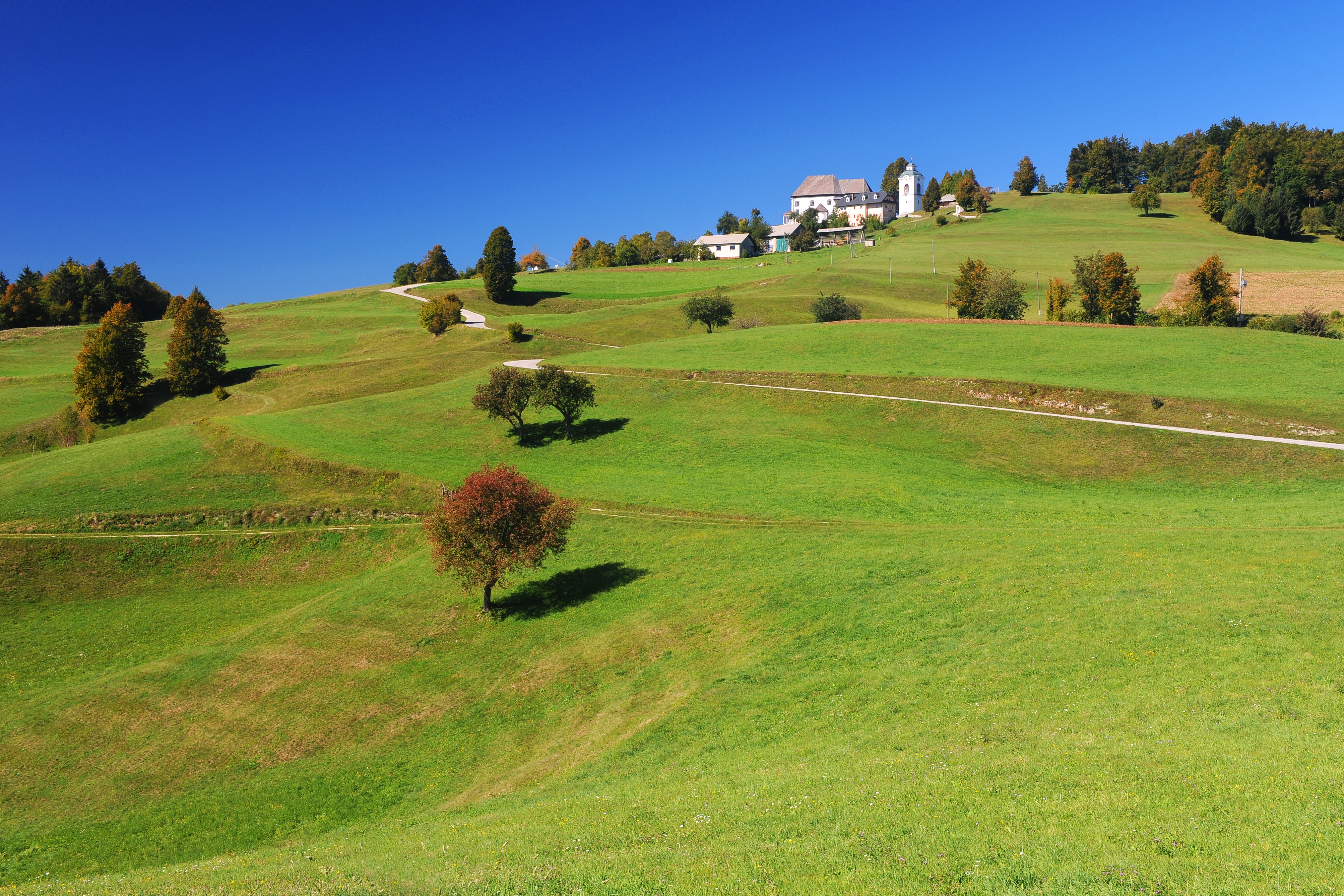 01_DSC_8536_LIMBARSKA_GORA 01_DSC_8536_LIMBARSKA_GORA