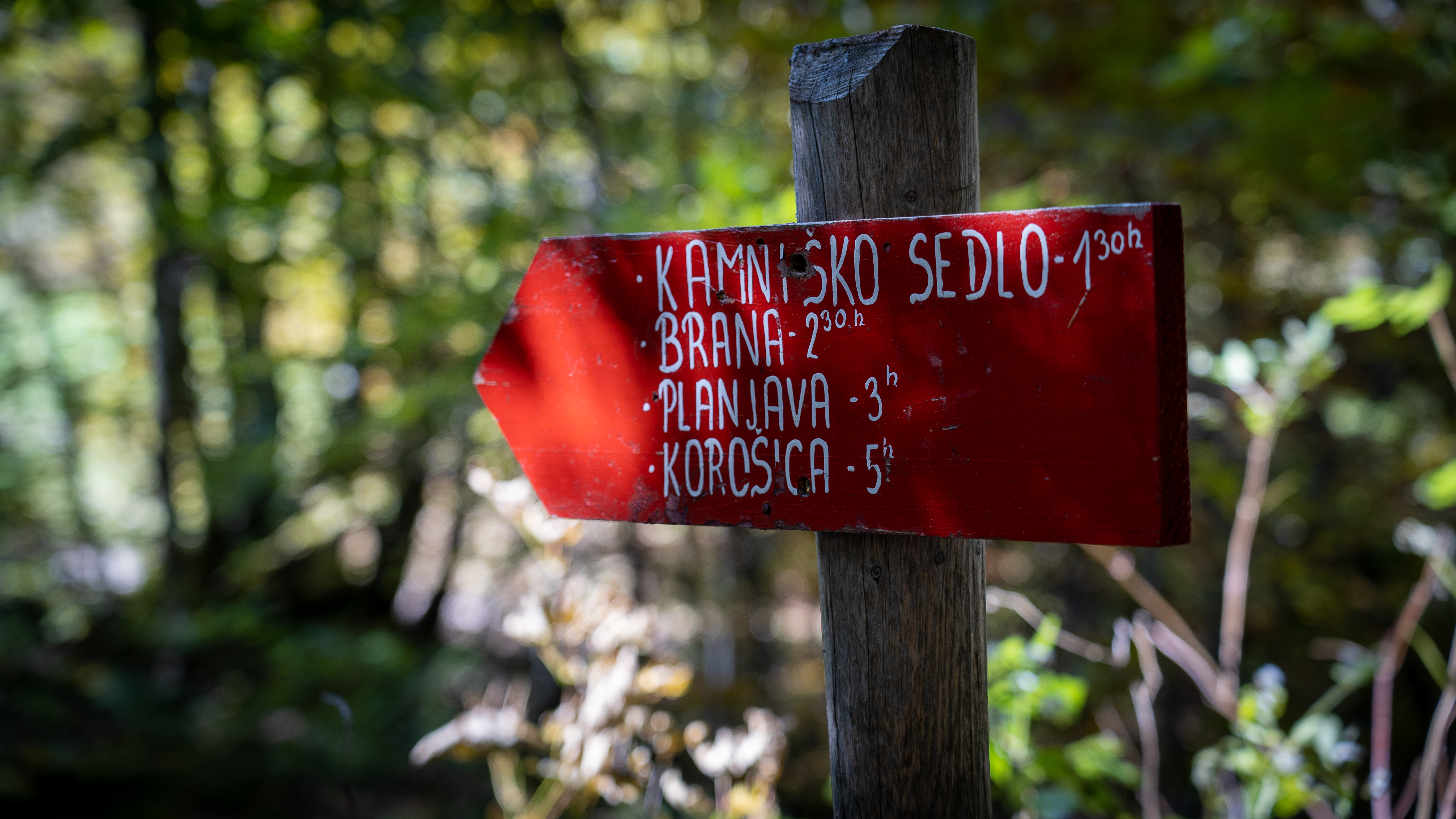 2020_10_10_Okre_elj_22