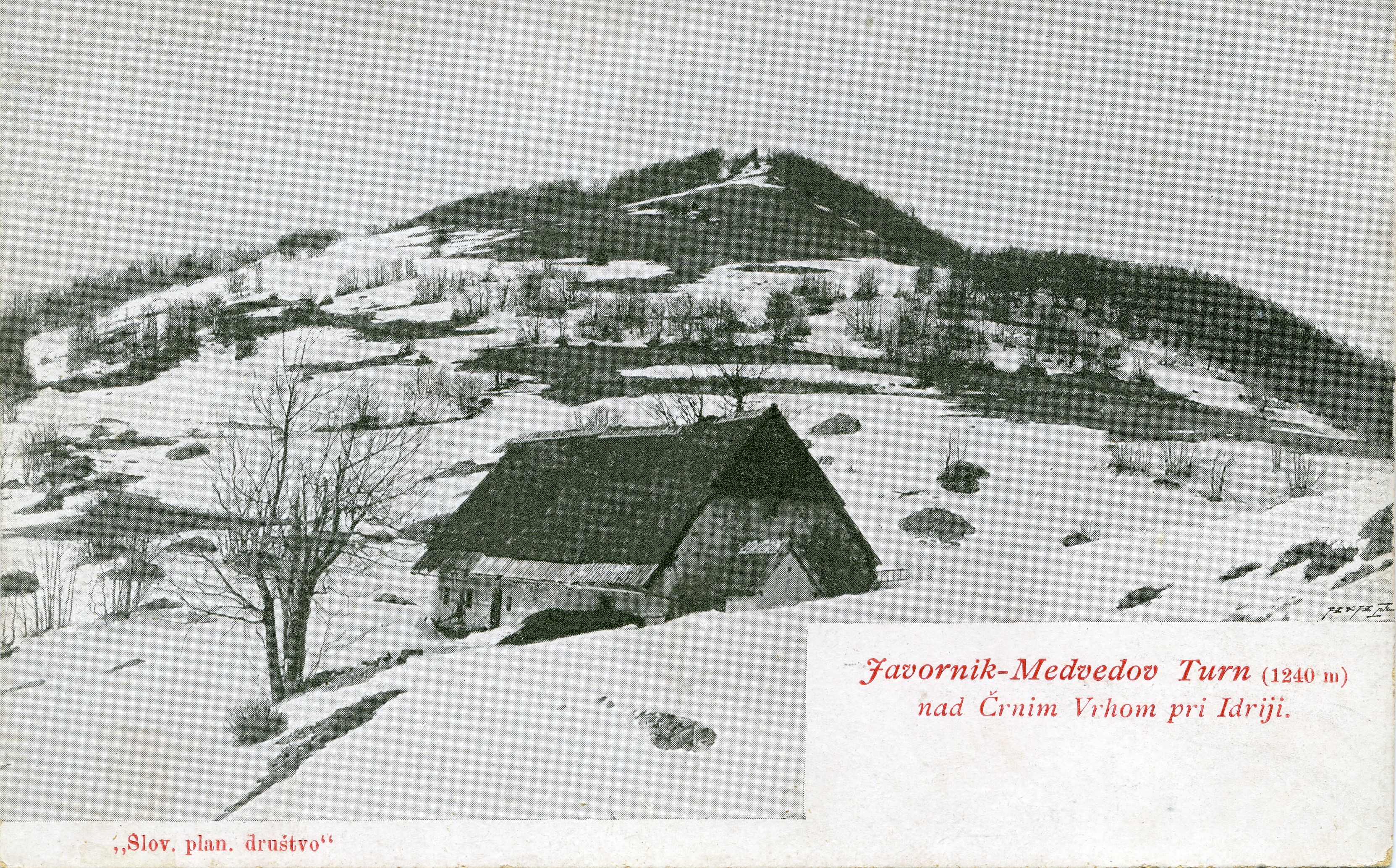 9_19474_sken002 9_19474_sken002