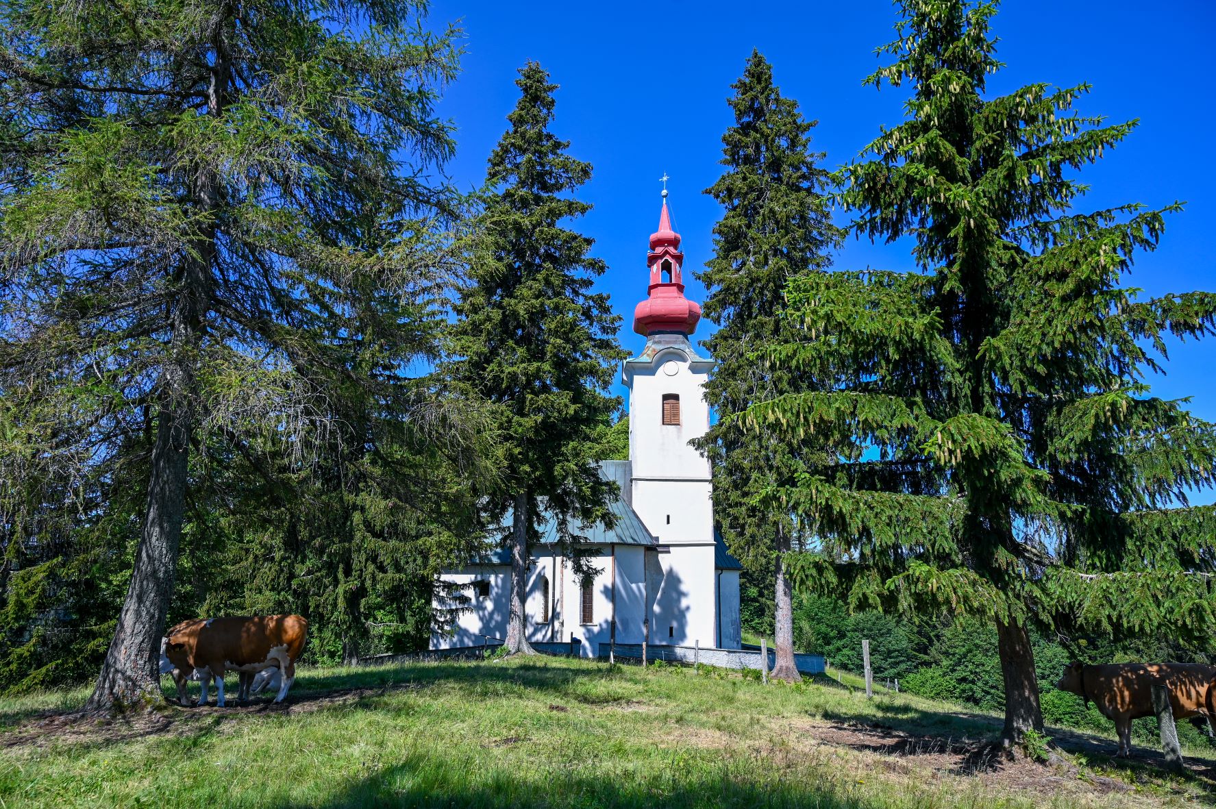 AMZS_Zelena_transverzala_2 AMZS_Zelena_transverzala_2