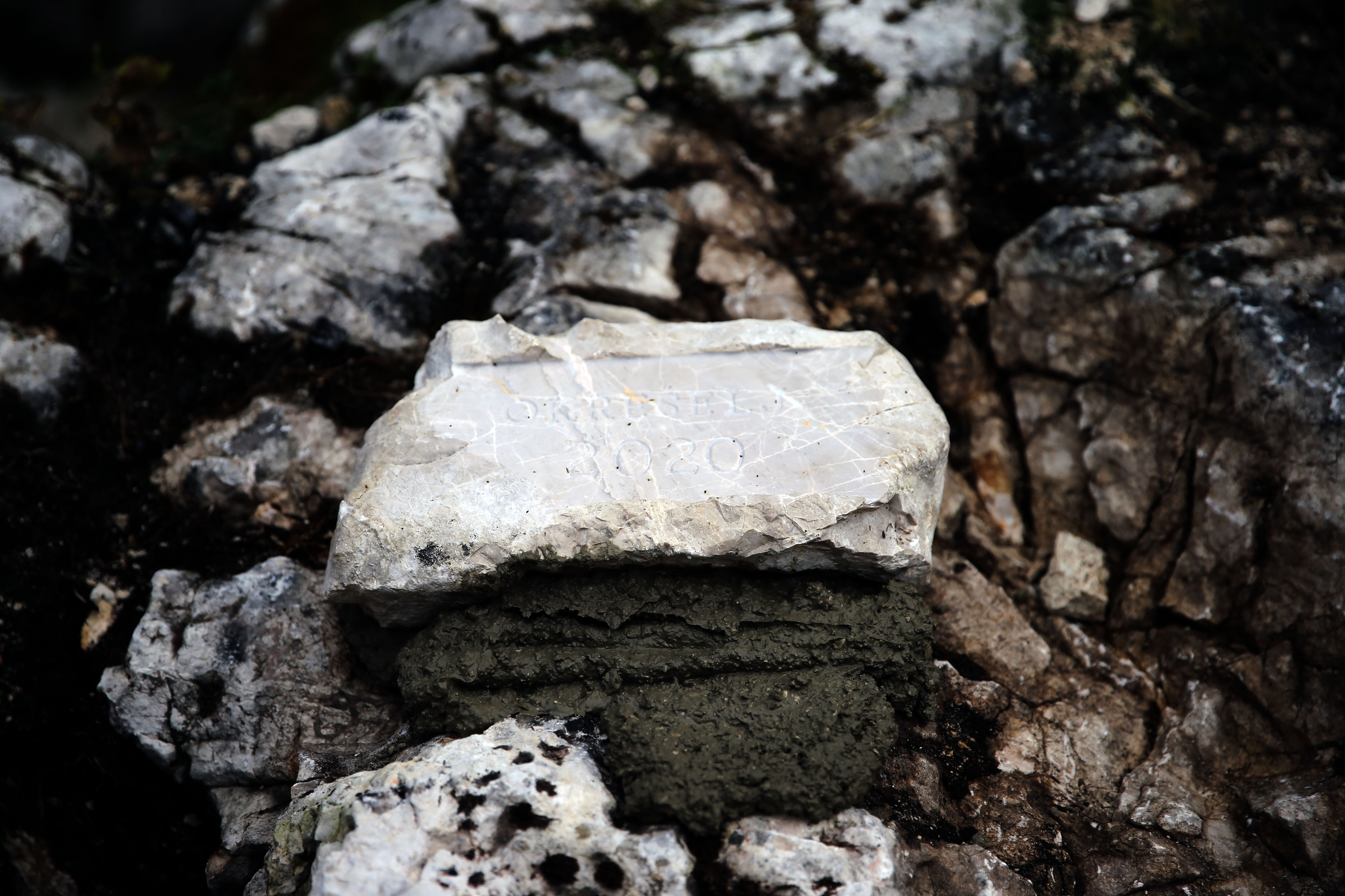 DL3U4436_PURG DL3U4436_PURG