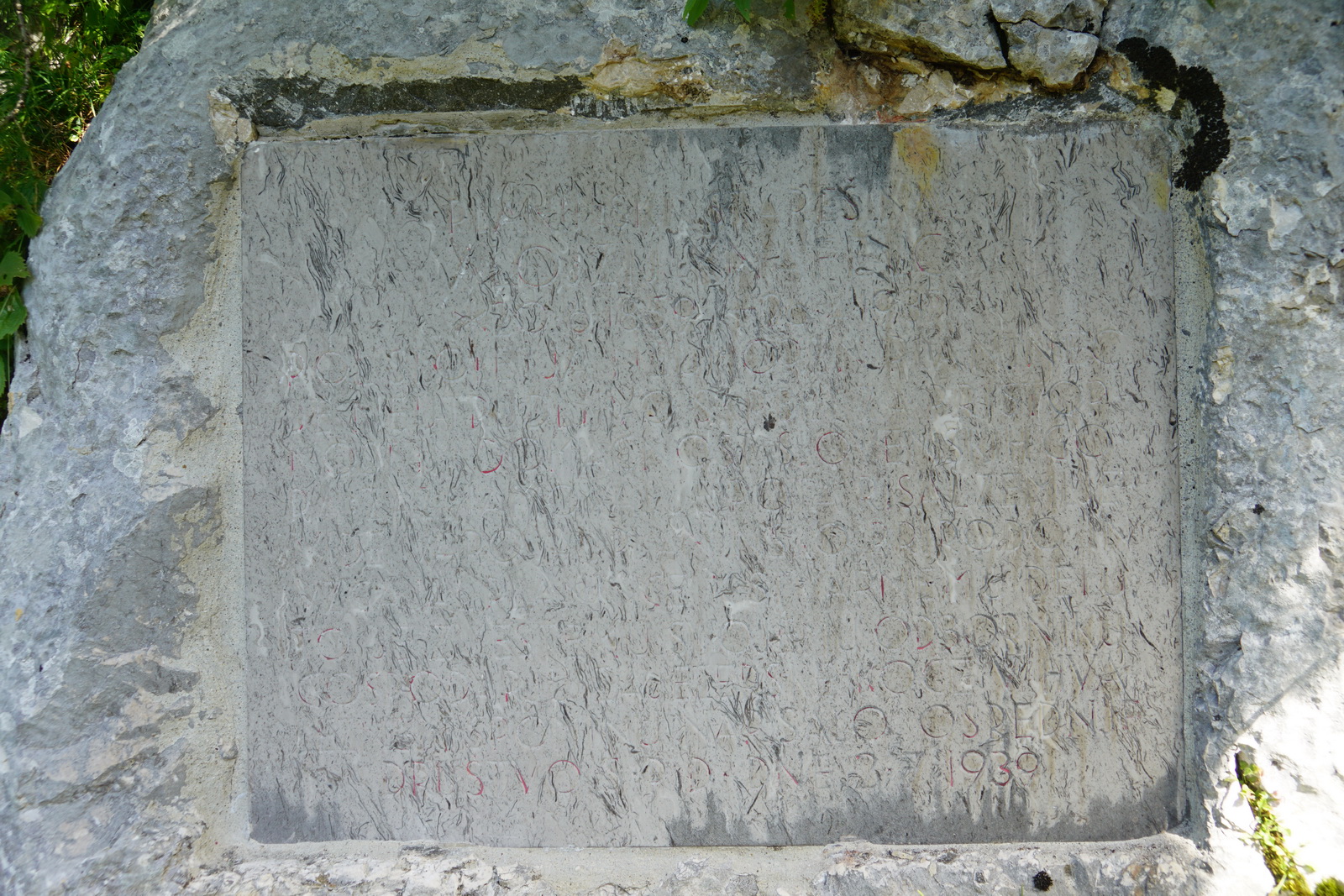 DSC00242_1 DSC00242_1