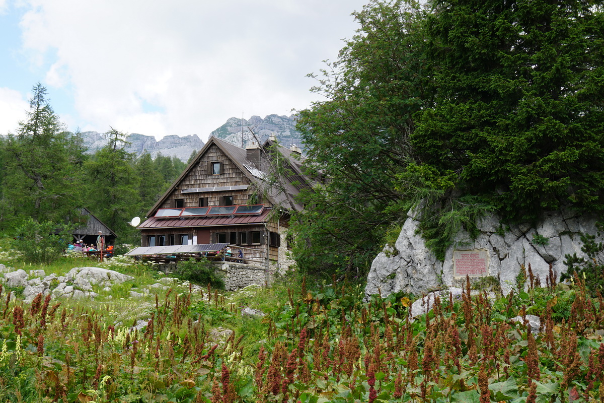 DSC01862_1 DSC01862_1