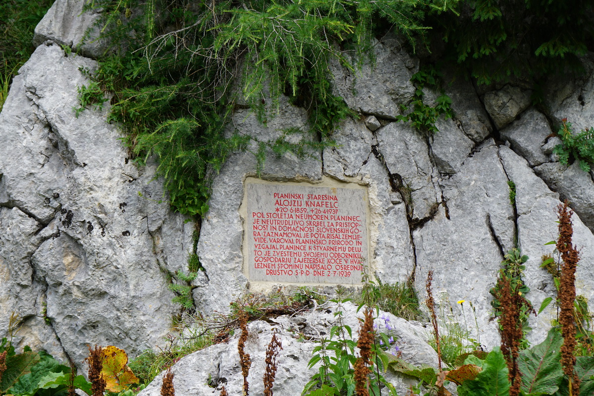 DSC01863_1 DSC01863_1